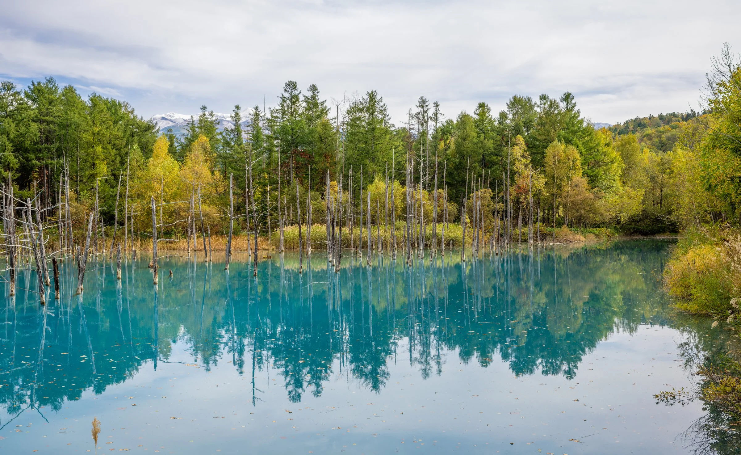 DSC06196-DxO_DeepPRIME 3.jpg