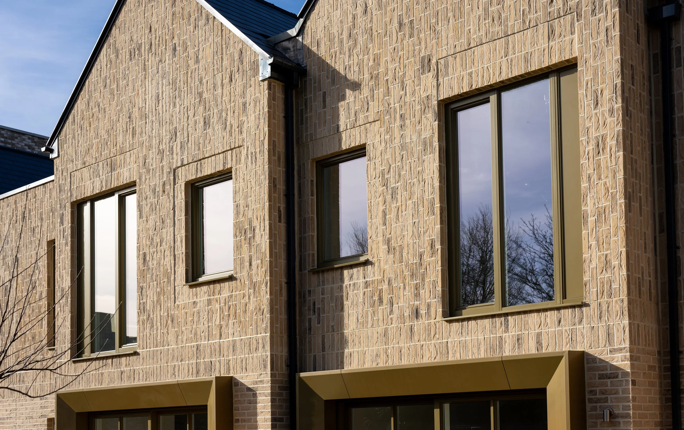 DSC01839-DxO_DeepPRIME XD2s.jpg