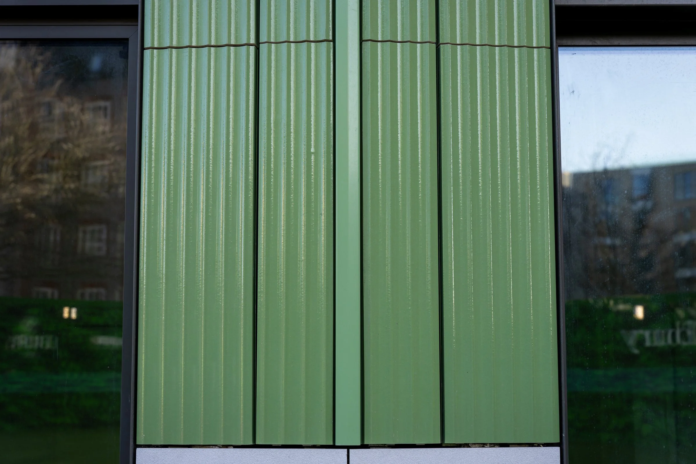 DSC03361-DxO_DeepPRIME XD2s.jpg