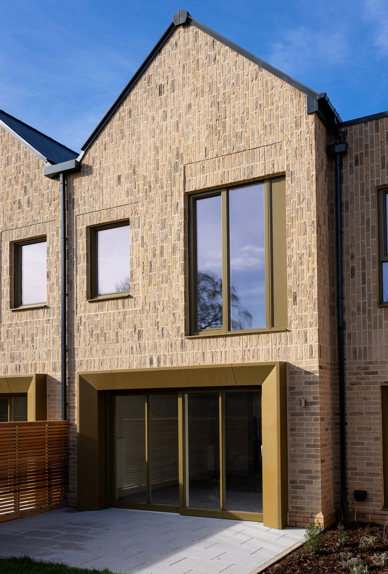 DSC01884-DxO_DeepPRIME XD2s.jpg