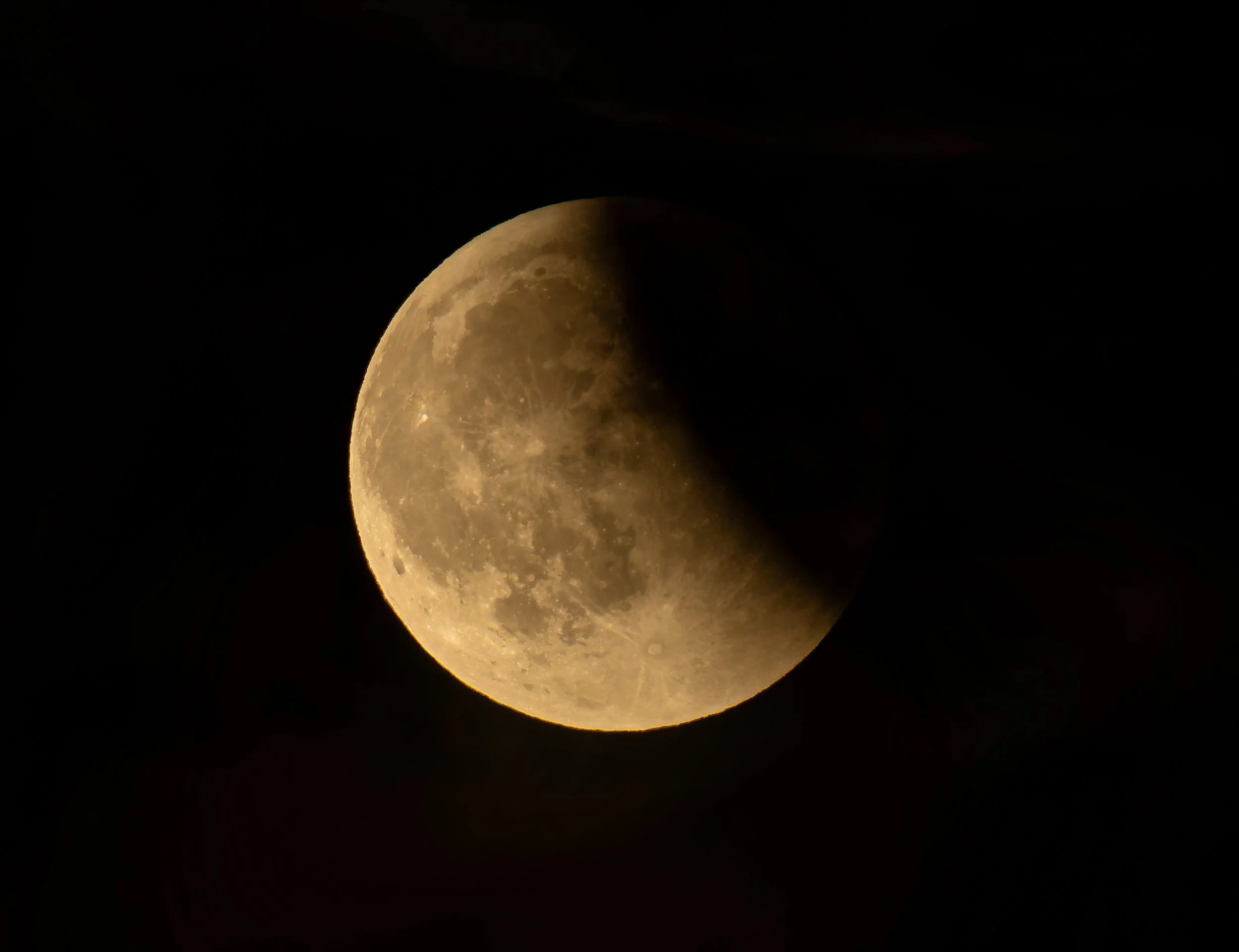 DSC01011-DxO_DeepPRIME XD2s-topaz-sharpen-upscale-2x.jpg