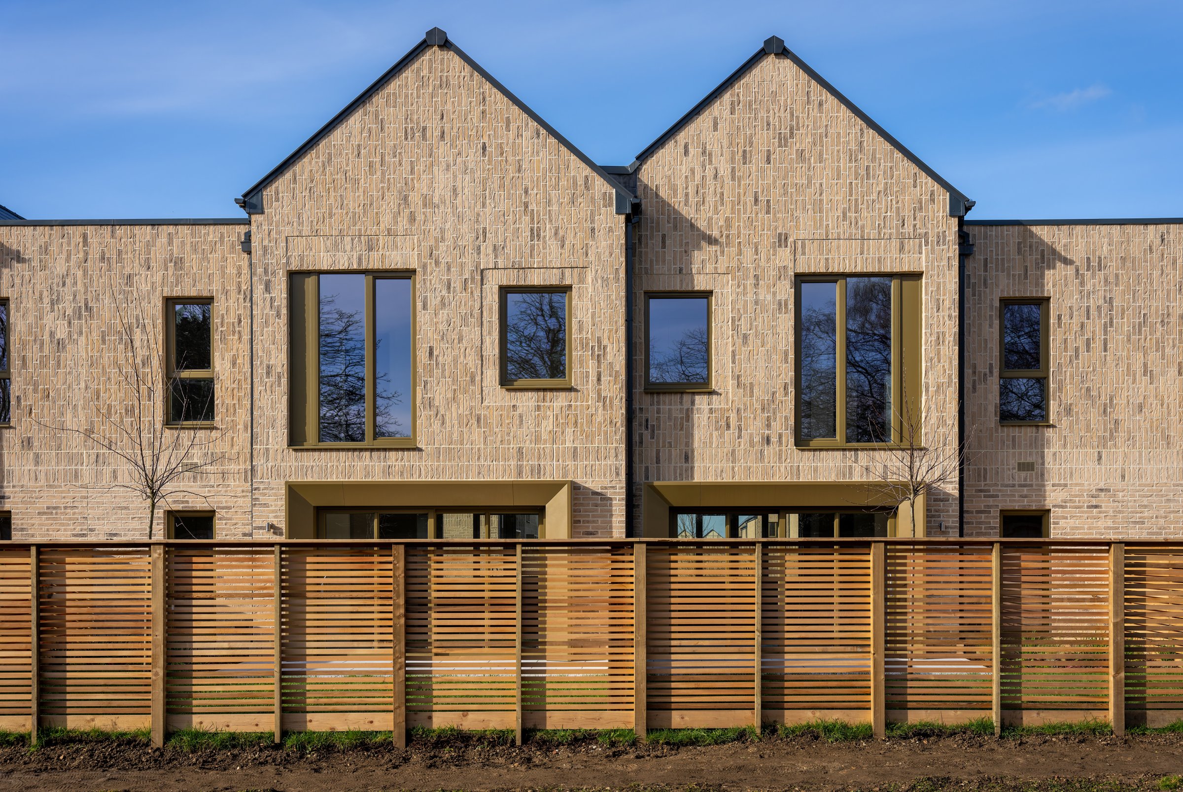 DSC01984-DxO_DeepPRIME XD2s.jpg