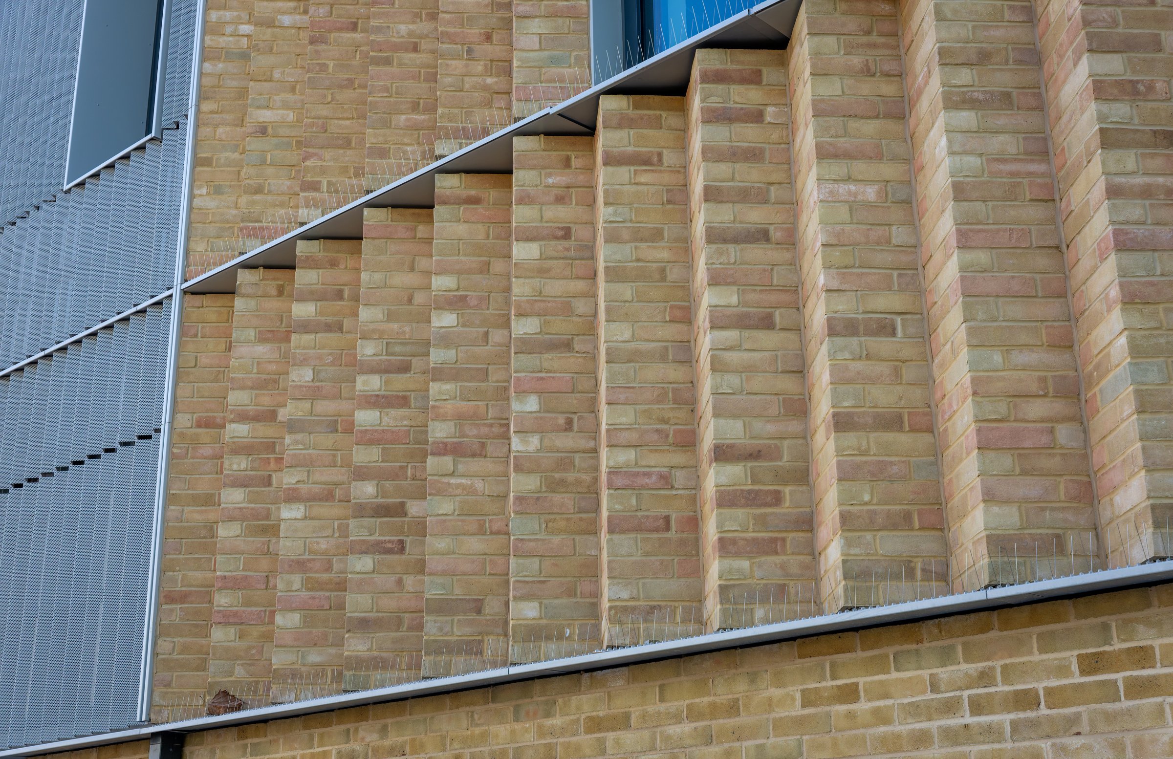 DSC03889-DxO_DeepPRIME XD2s.jpg