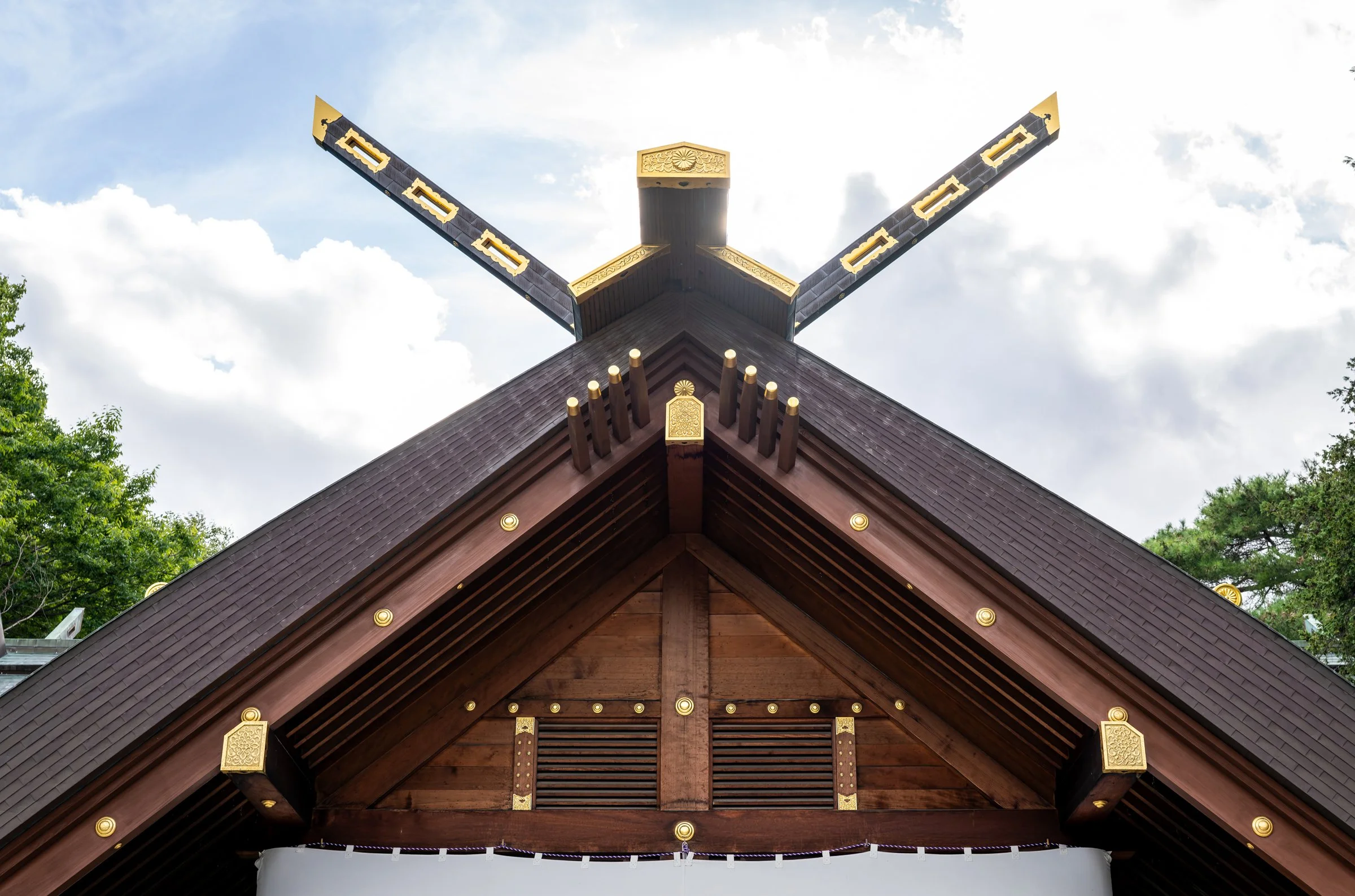 DSC05446-DxO_DeepPRIME 3.jpg