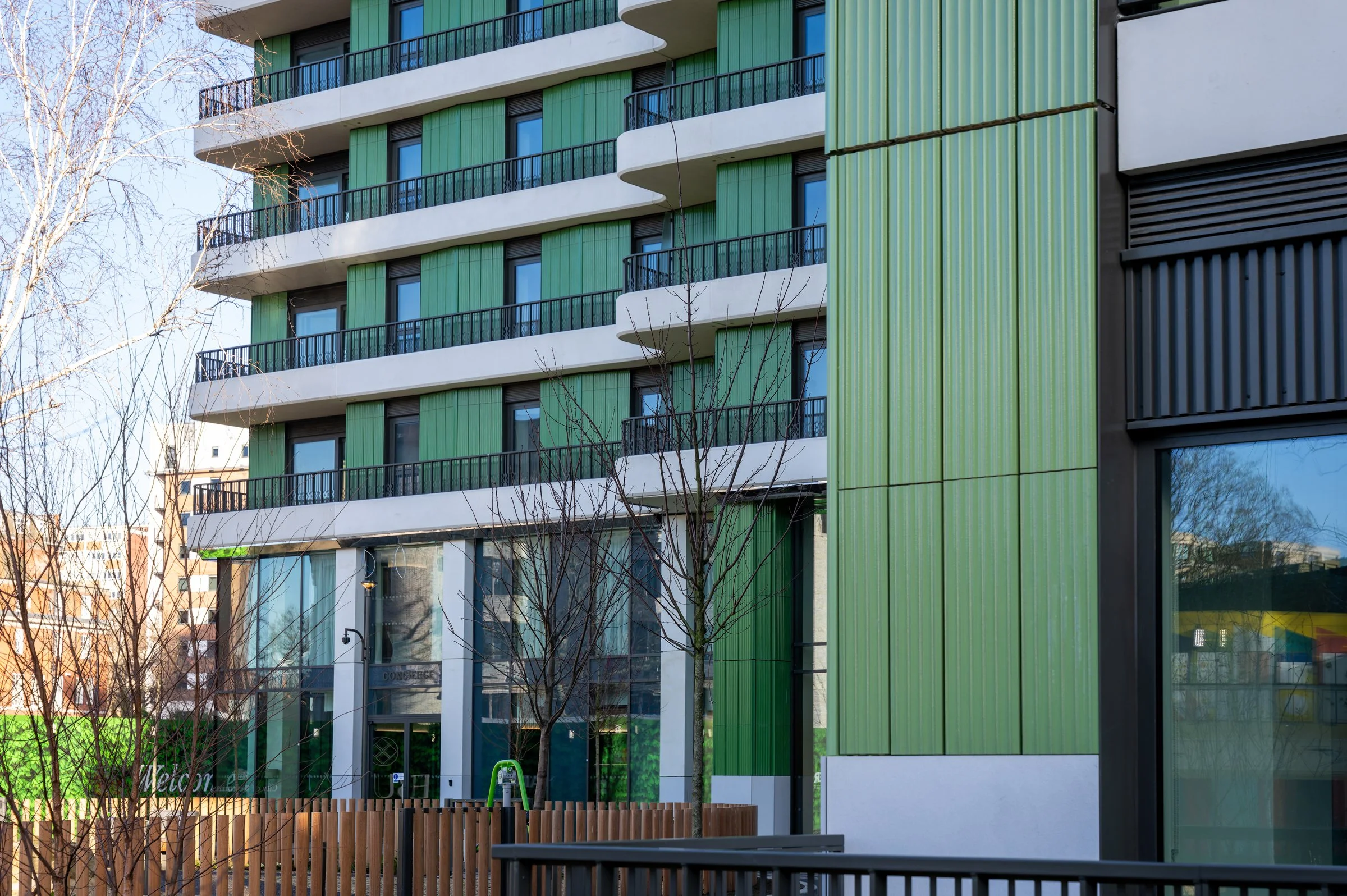 DSC03245-DxO_DeepPRIME XD2s.jpg