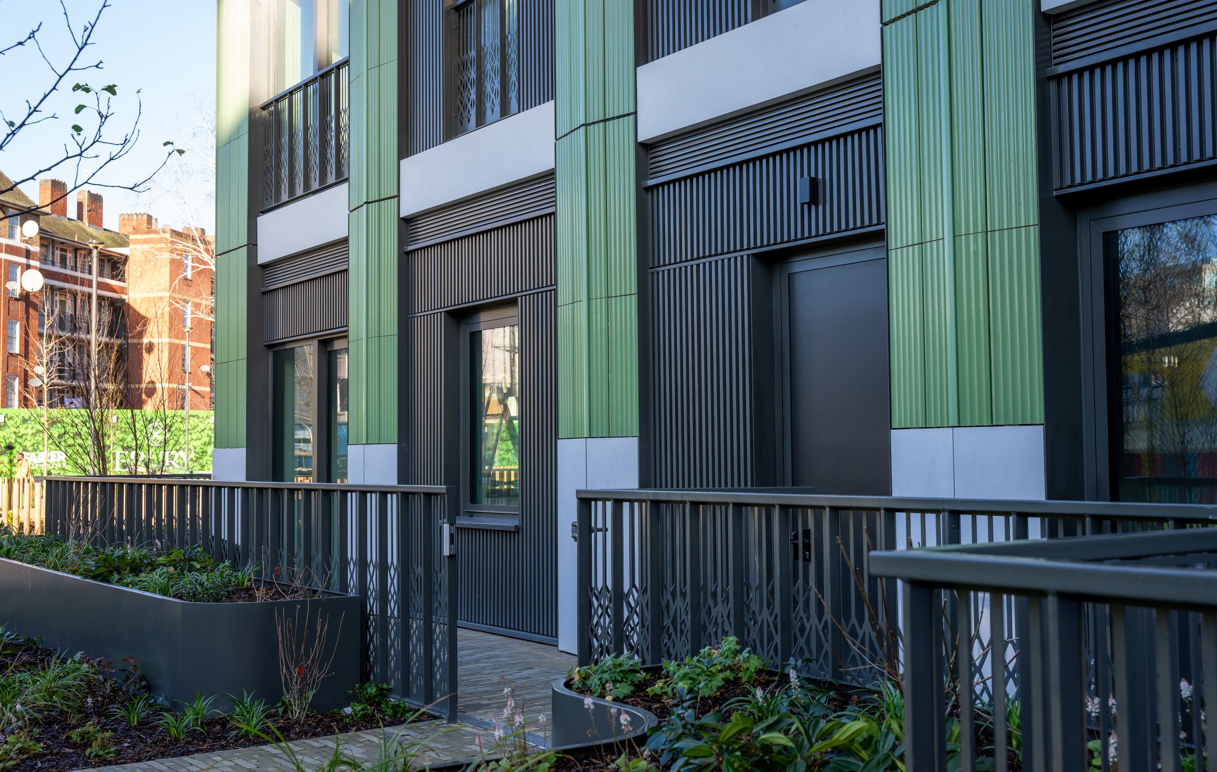 DSC03262-DxO_DeepPRIME XD2s.jpg