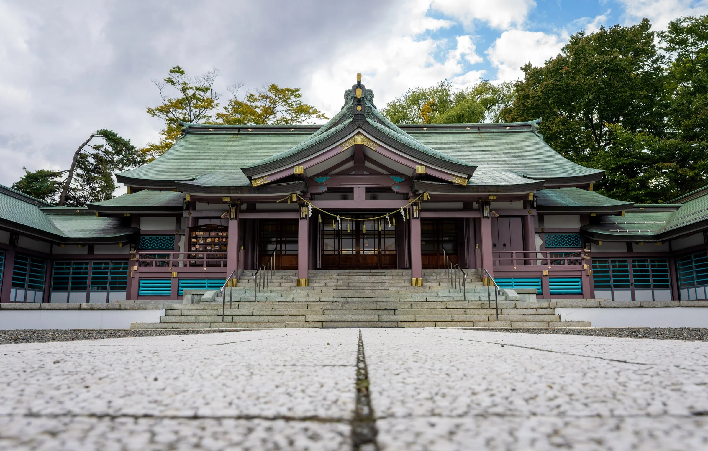 DSC08638-DxO_DeepPRIME 3.jpg