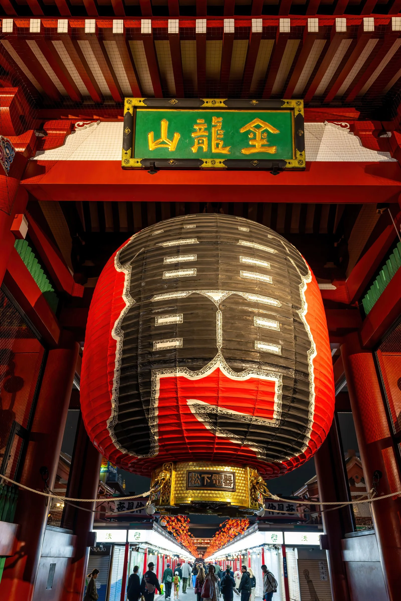 DSC01695-DxO_DeepPRIME 3-DeNoiseAI-standard-2.jpg