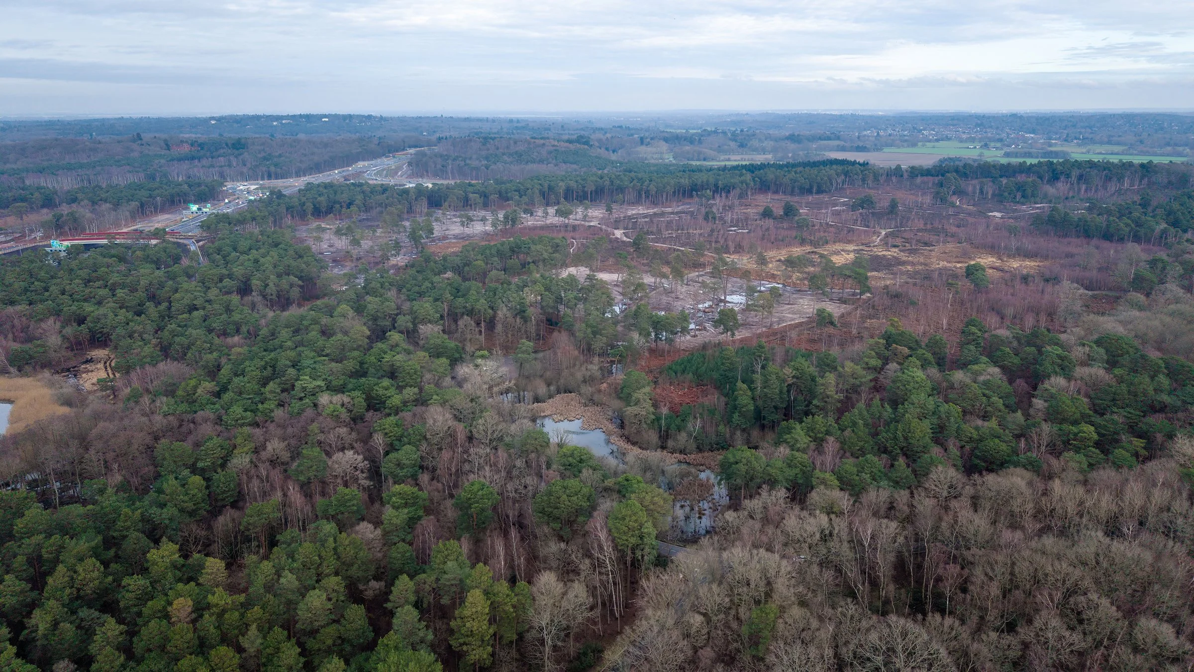 DJI_20260118131256_0028_D-DxO_DeepPRIME 3-topaz-sharpen.jpg