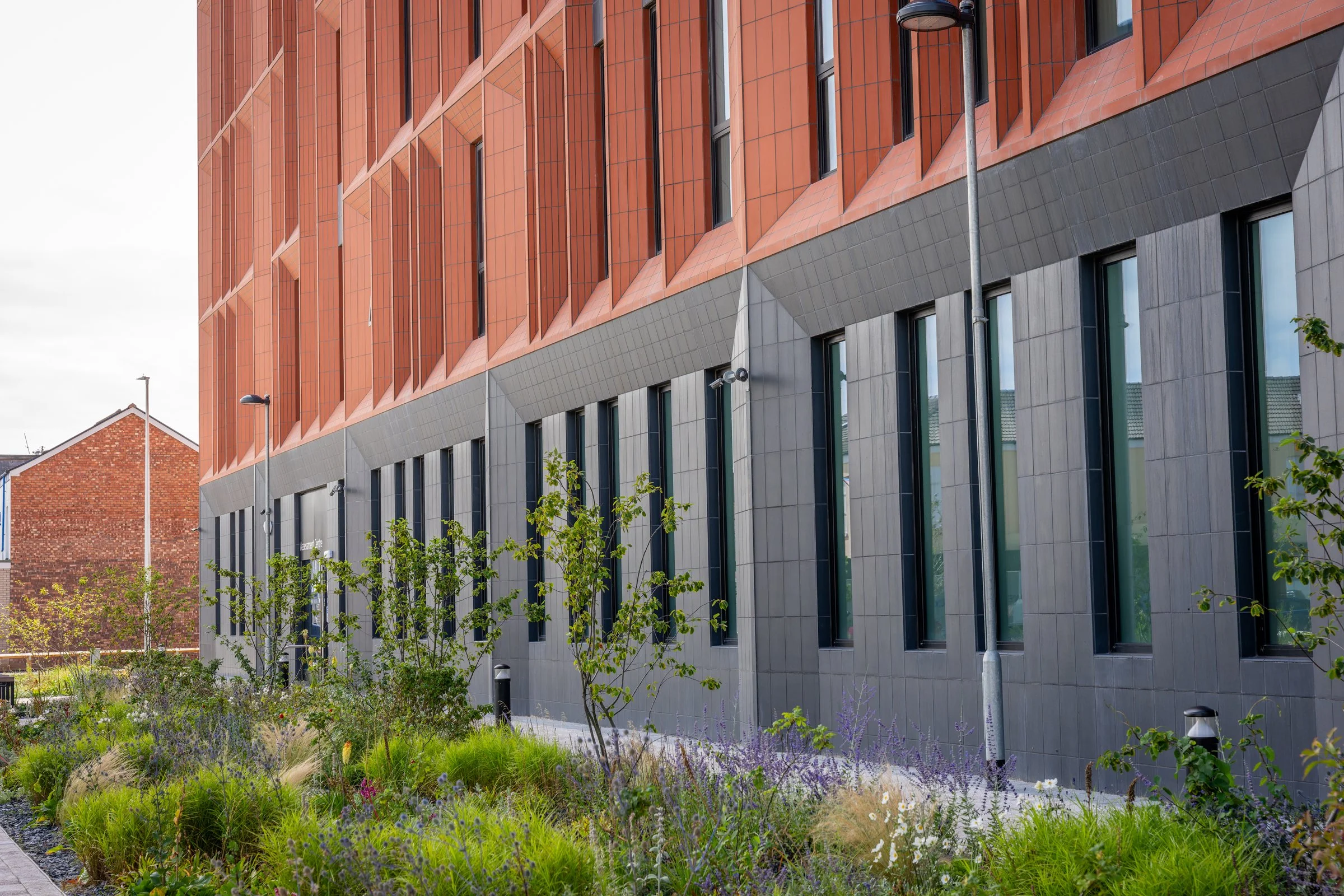 DSC06951-DxO_DeepPRIME XD2s.jpg