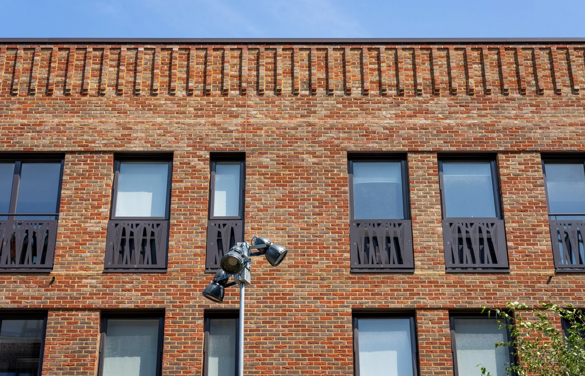 DSC06232-DxO_DeepPRIME XD2s.jpg