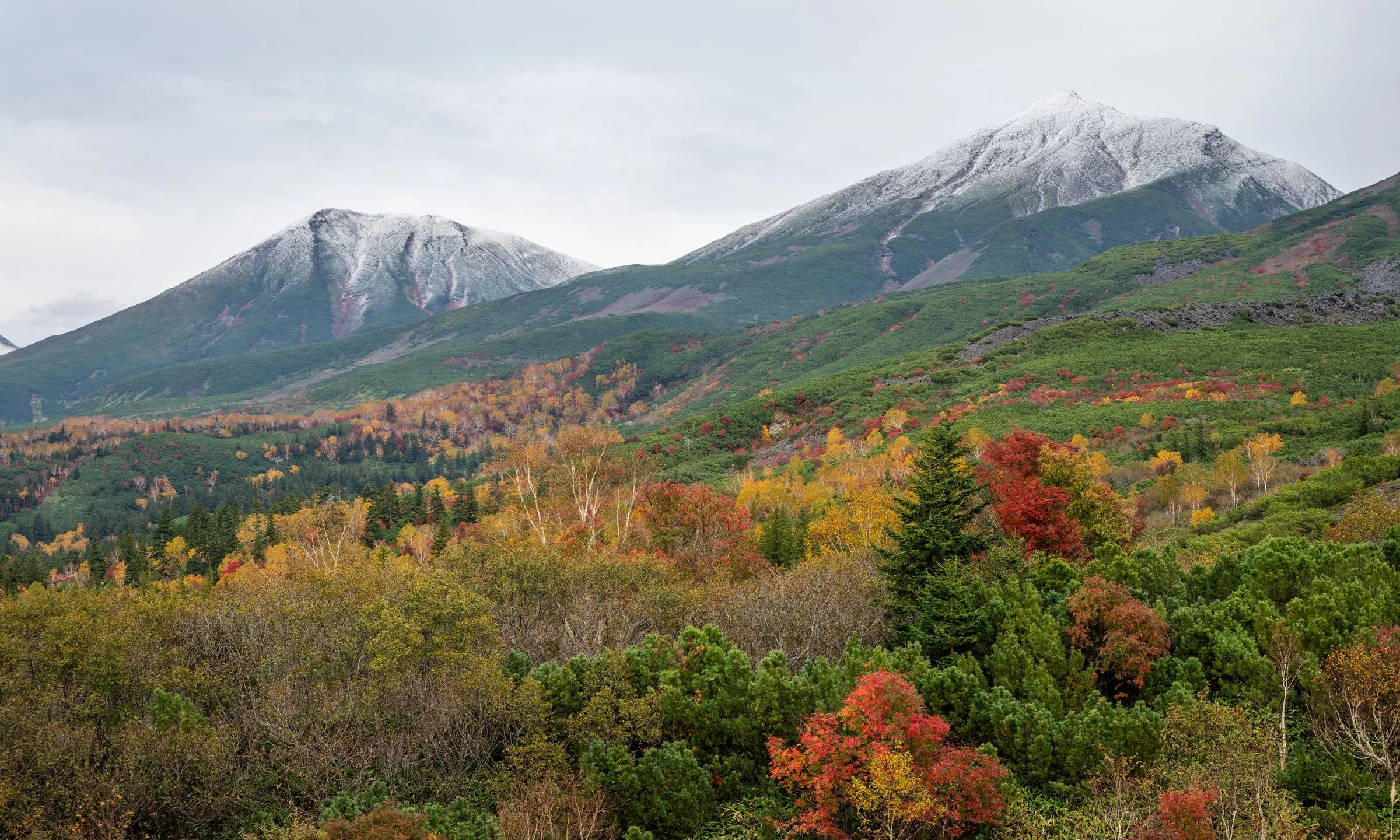 DSC06354-DxO_DeepPRIME 3.jpg