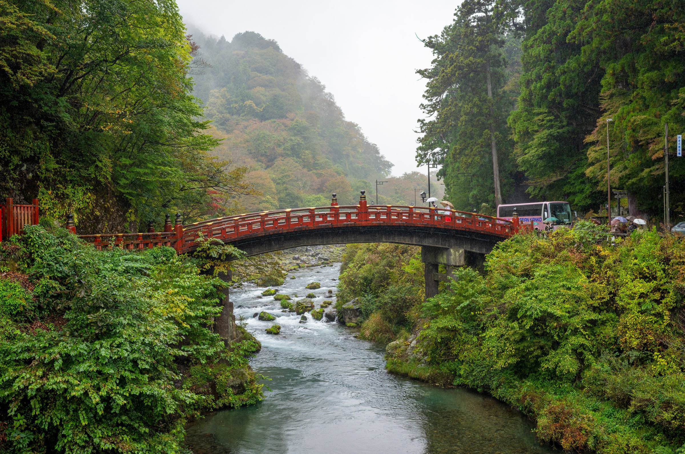 DSC00616-DxO_DeepPRIME 3.jpg