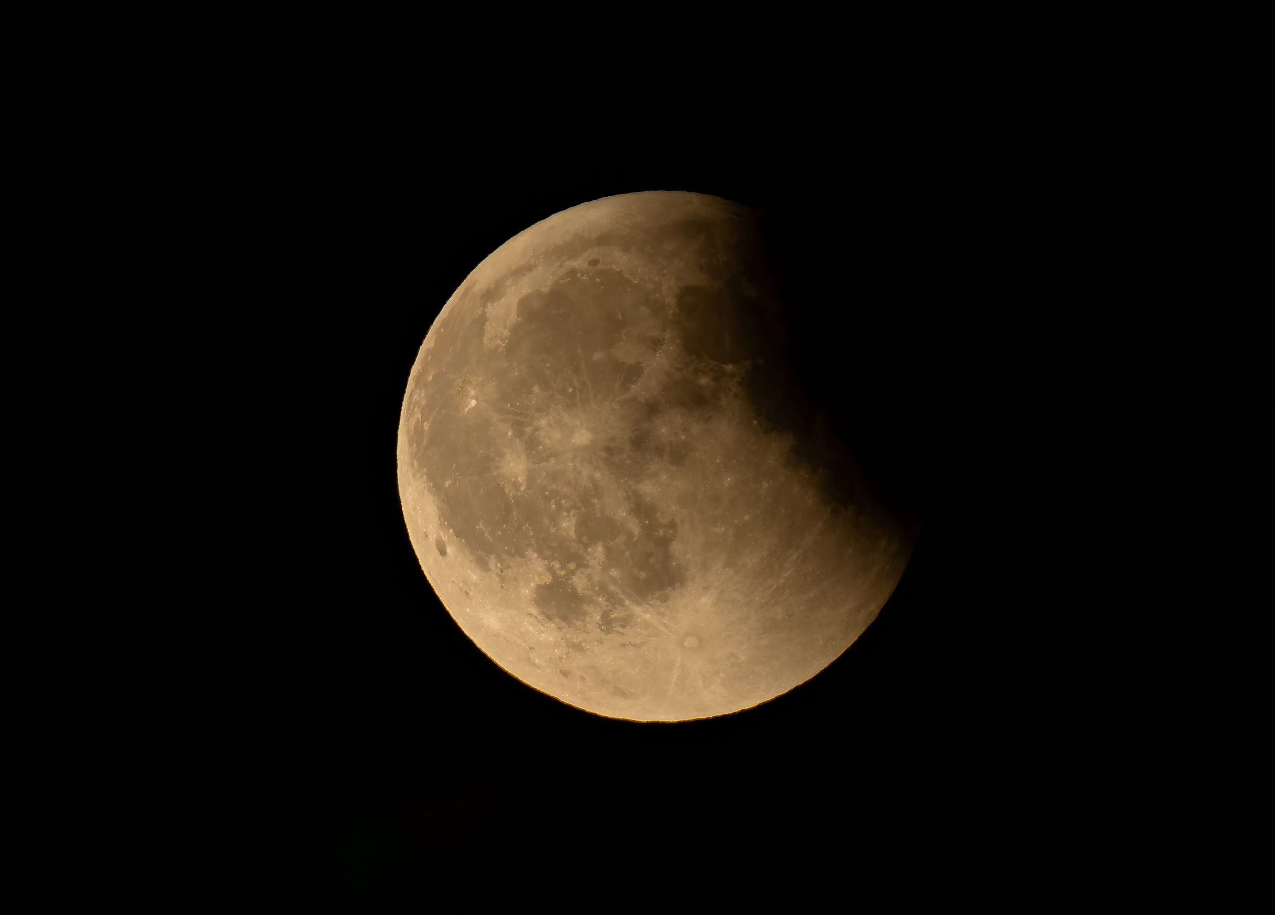 DSC01027-DxO_DeepPRIME XD2s-topaz-sharpen-upscale-2x.jpg