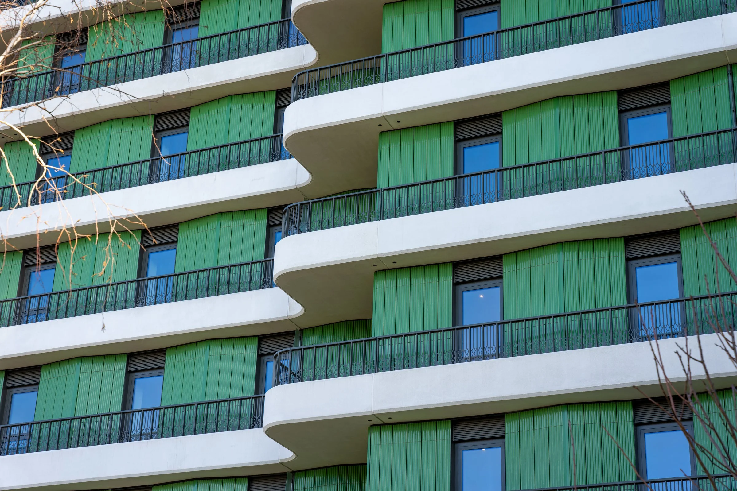 DSC03235-DxO_DeepPRIME XD2s.jpg