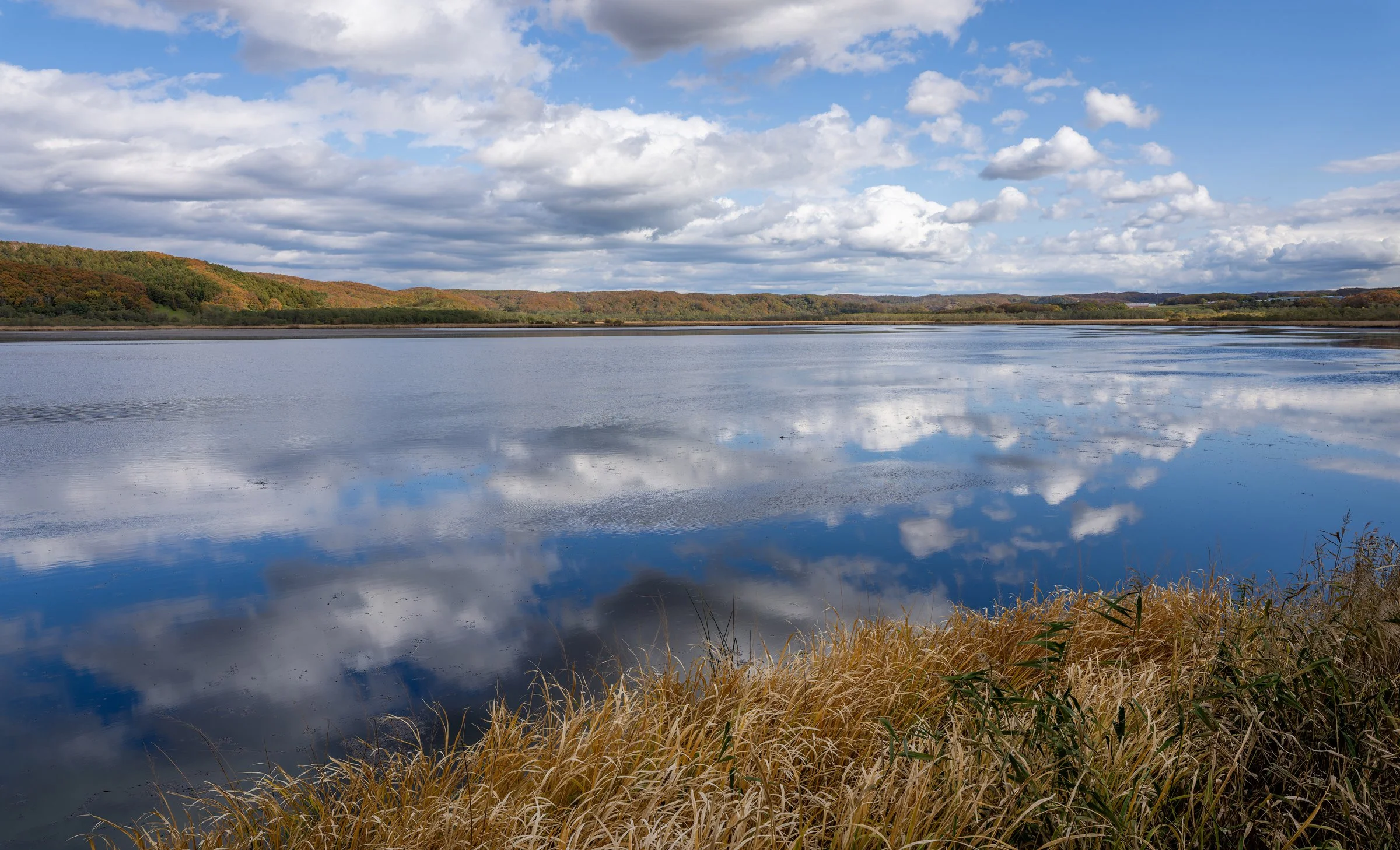 DSC07009-DxO_DeepPRIME 3-topaz-sharpen.jpg