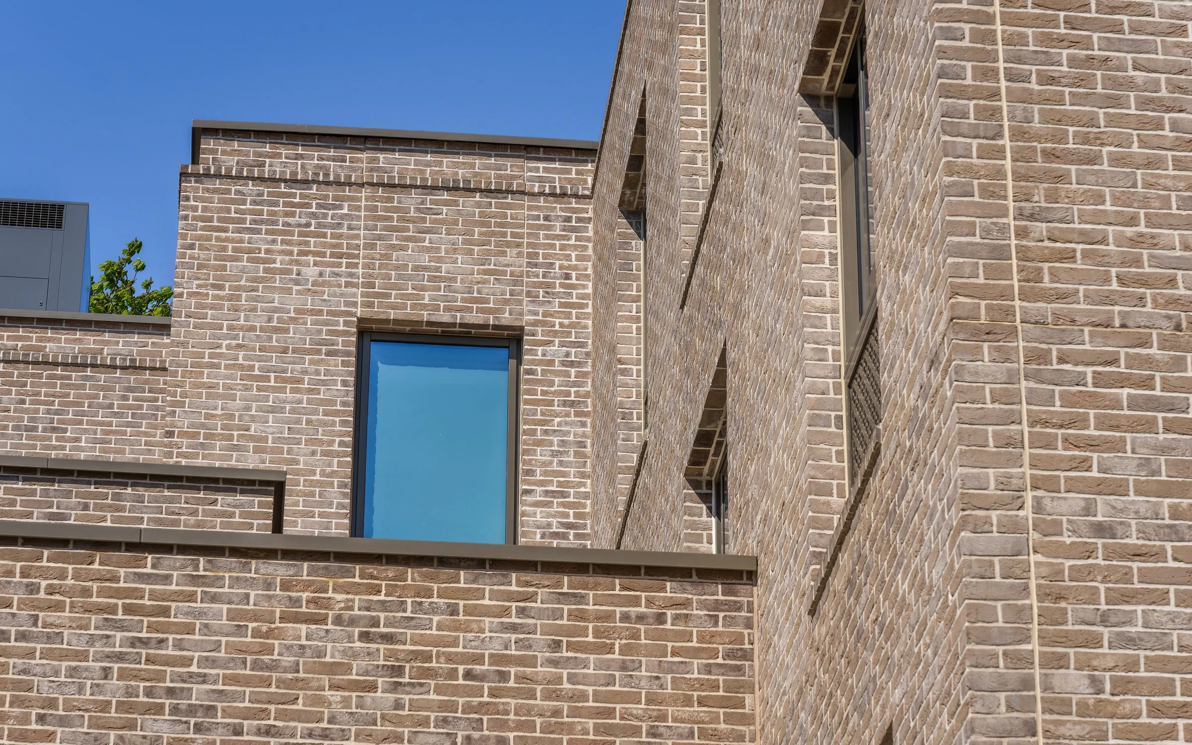 DSC05375-DxO_DeepPRIME XD2s.jpg