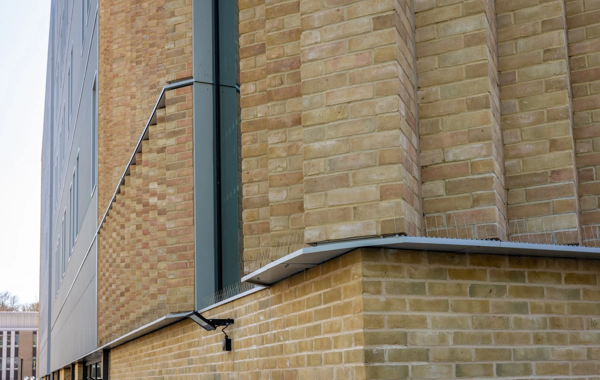 DSC03934-DxO_DeepPRIME XD2s.jpg