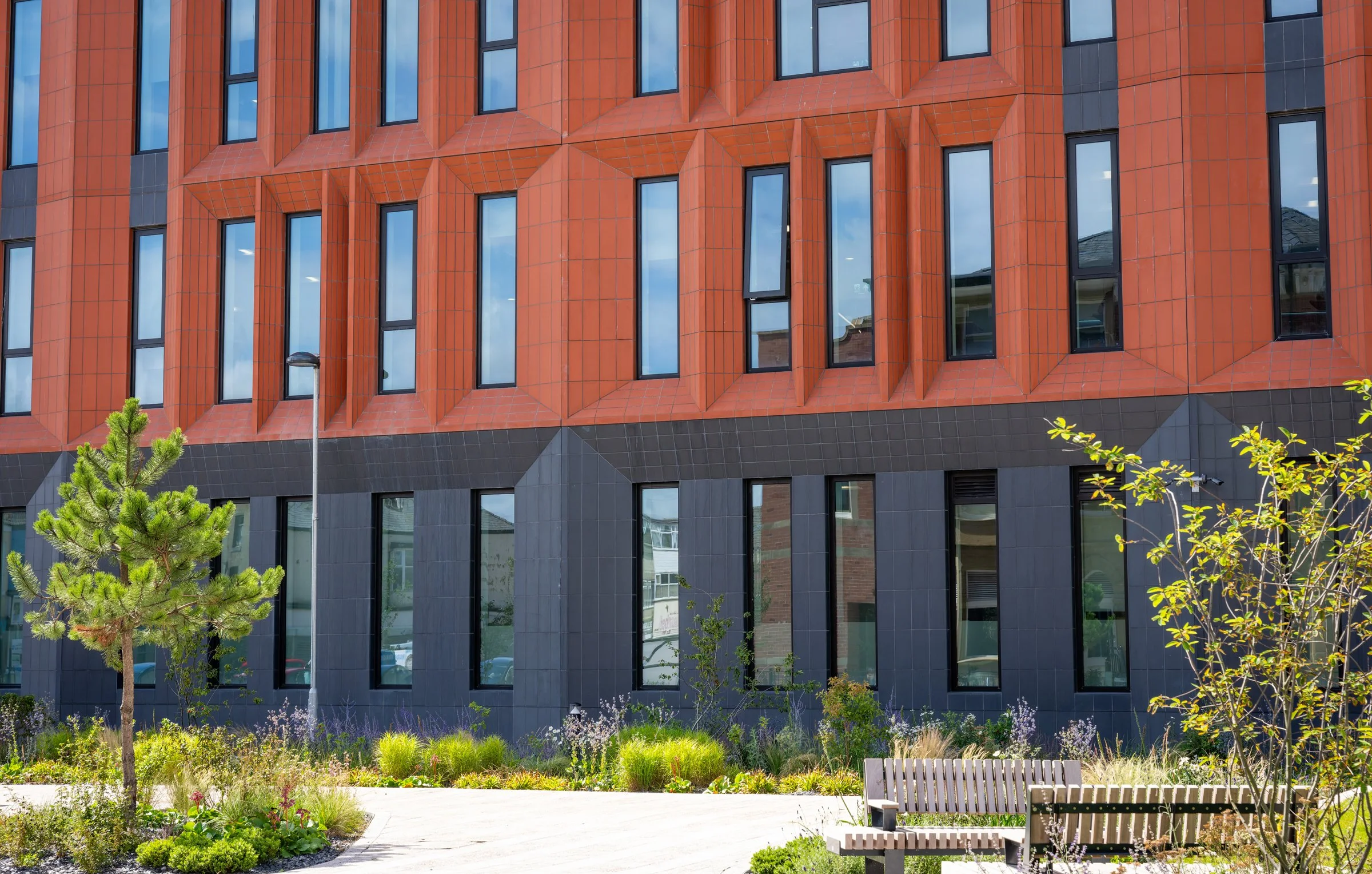 DSC06767-DxO_DeepPRIME XD2s.jpg