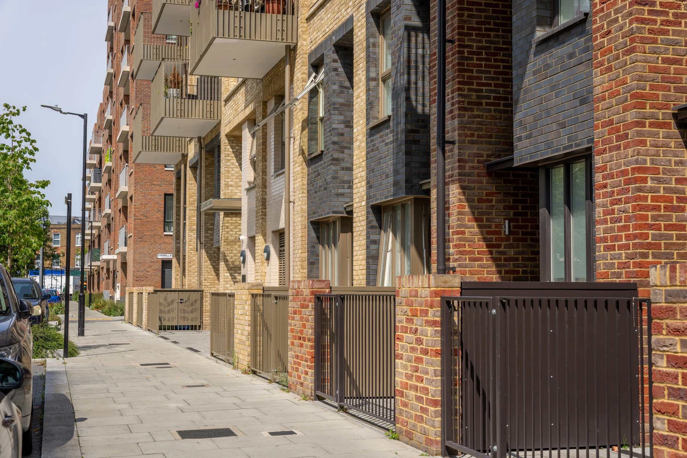 DSC06362-DxO_DeepPRIME XD2s.jpg