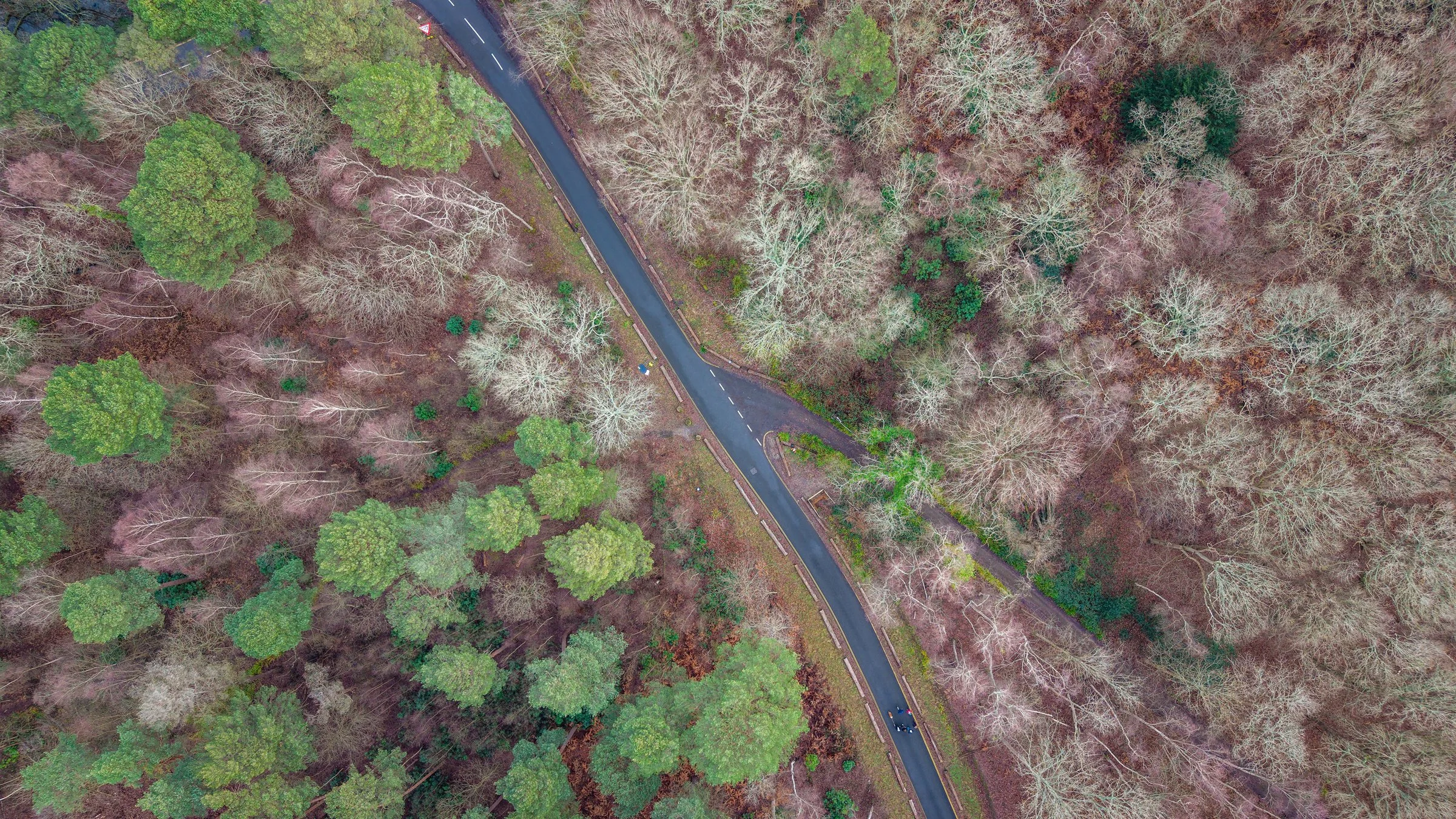 DJI_20260118131317_0029_D-DxO_DeepPRIME 3-topaz-sharpen.jpg