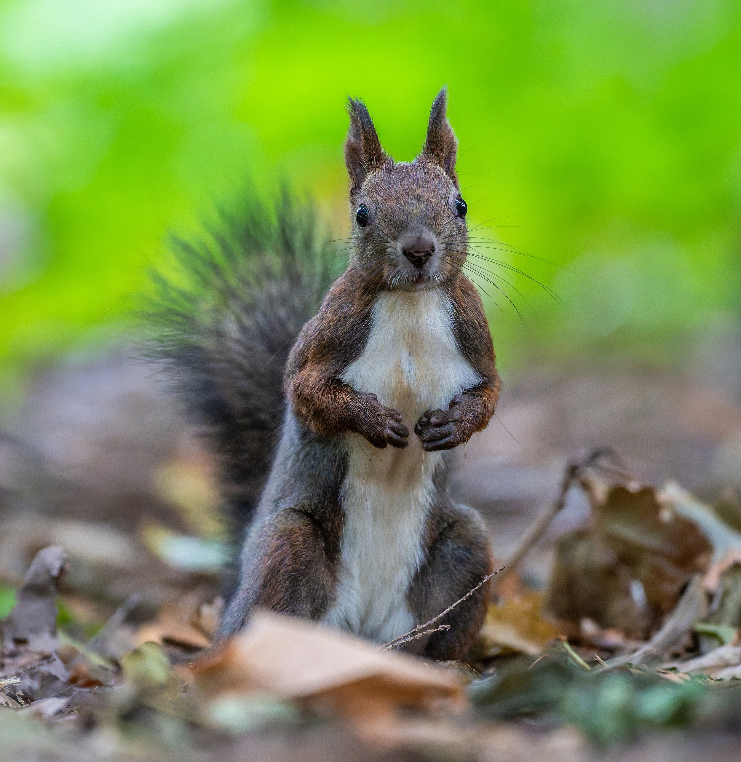 DSC05723-DxO_DeepPRIME 3-topaz-sharpen.jpg