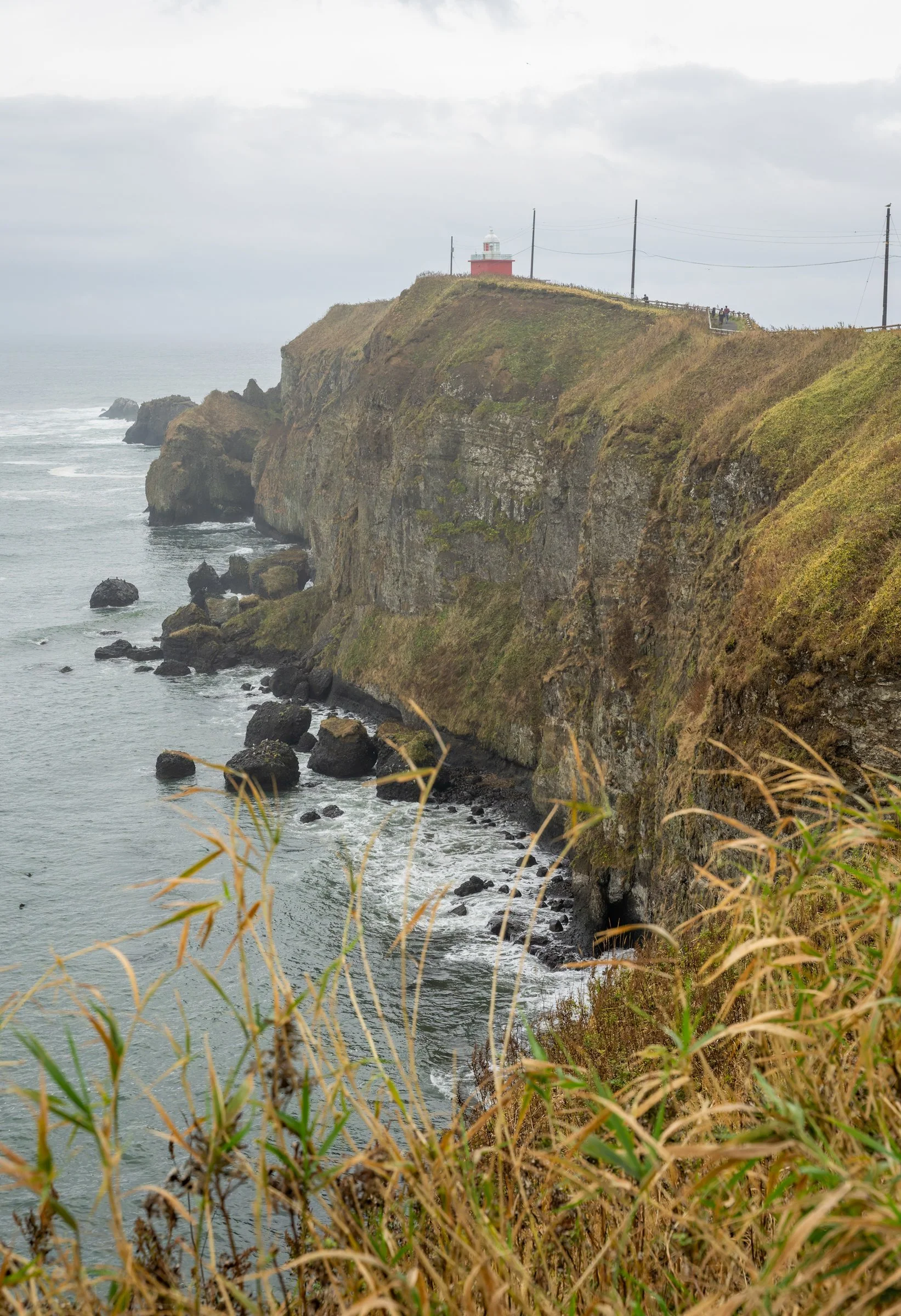 DSC06275-DxO_DeepPRIME 3.jpg