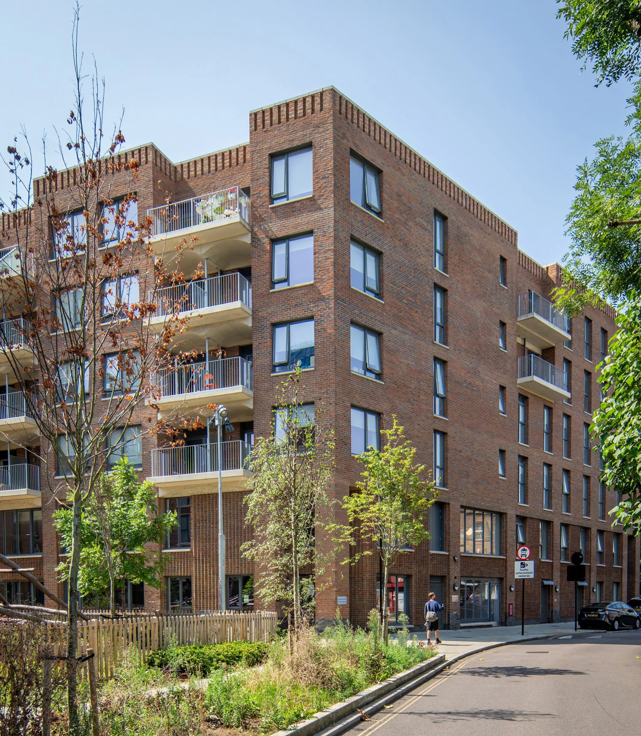 DSC05838-DxO_DeepPRIME XD2s-topaz-sharpen.jpg