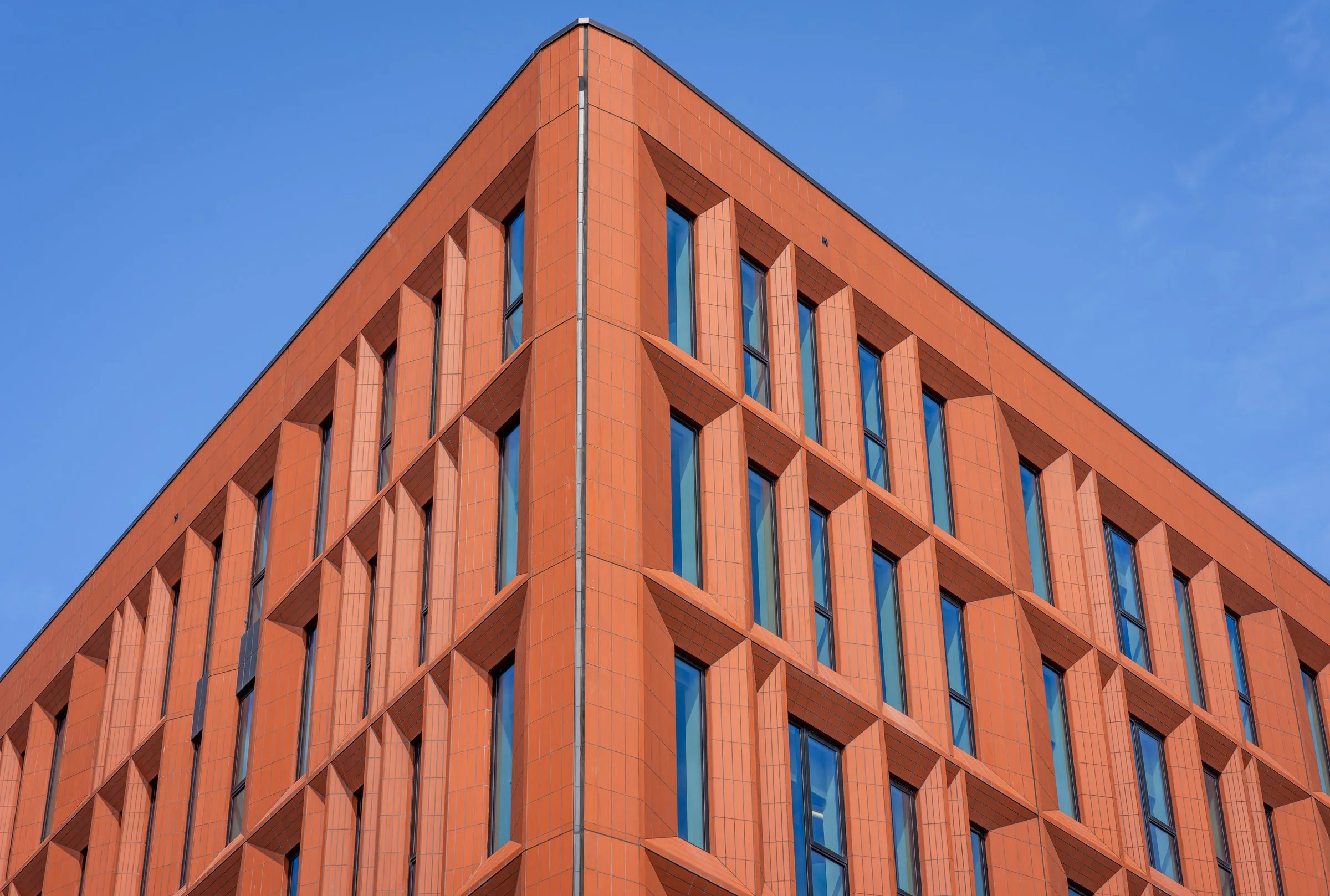 DSC06890-DxO_DeepPRIME XD2s.jpg