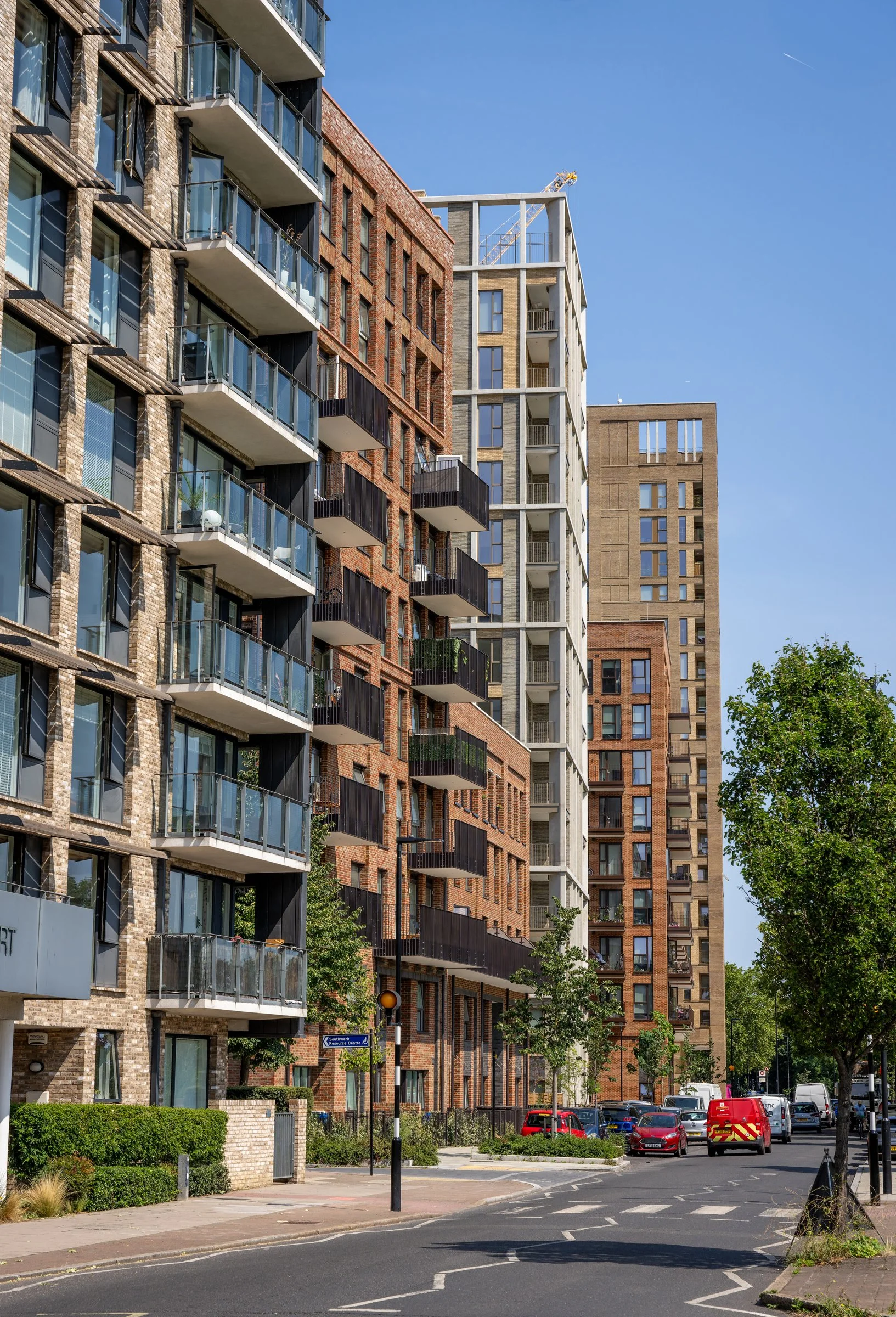 DSC06040-DxO_DeepPRIME XD2s.jpg