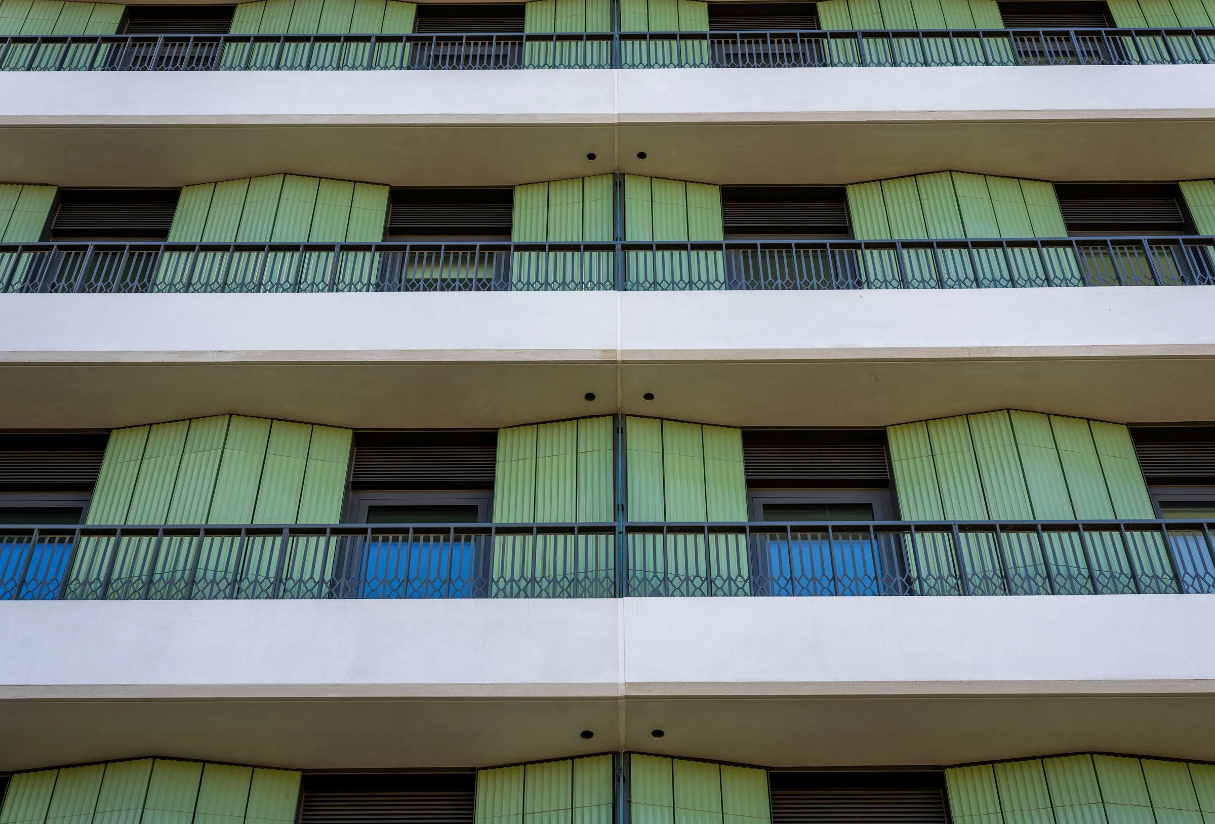 DSC03217-DxO_DeepPRIME XD2s.jpg