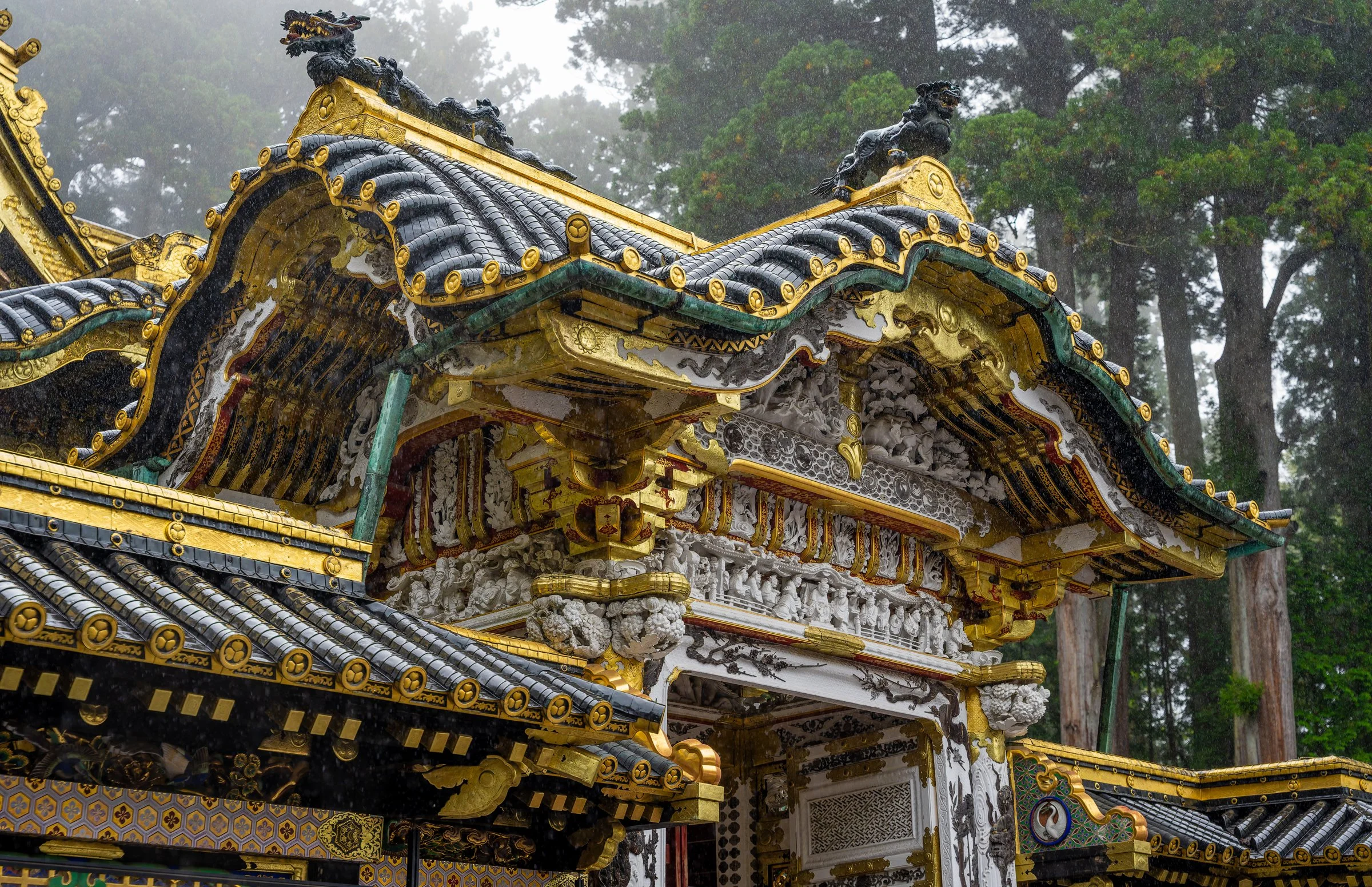 DSC01138-DxO_DeepPRIME 3.jpg