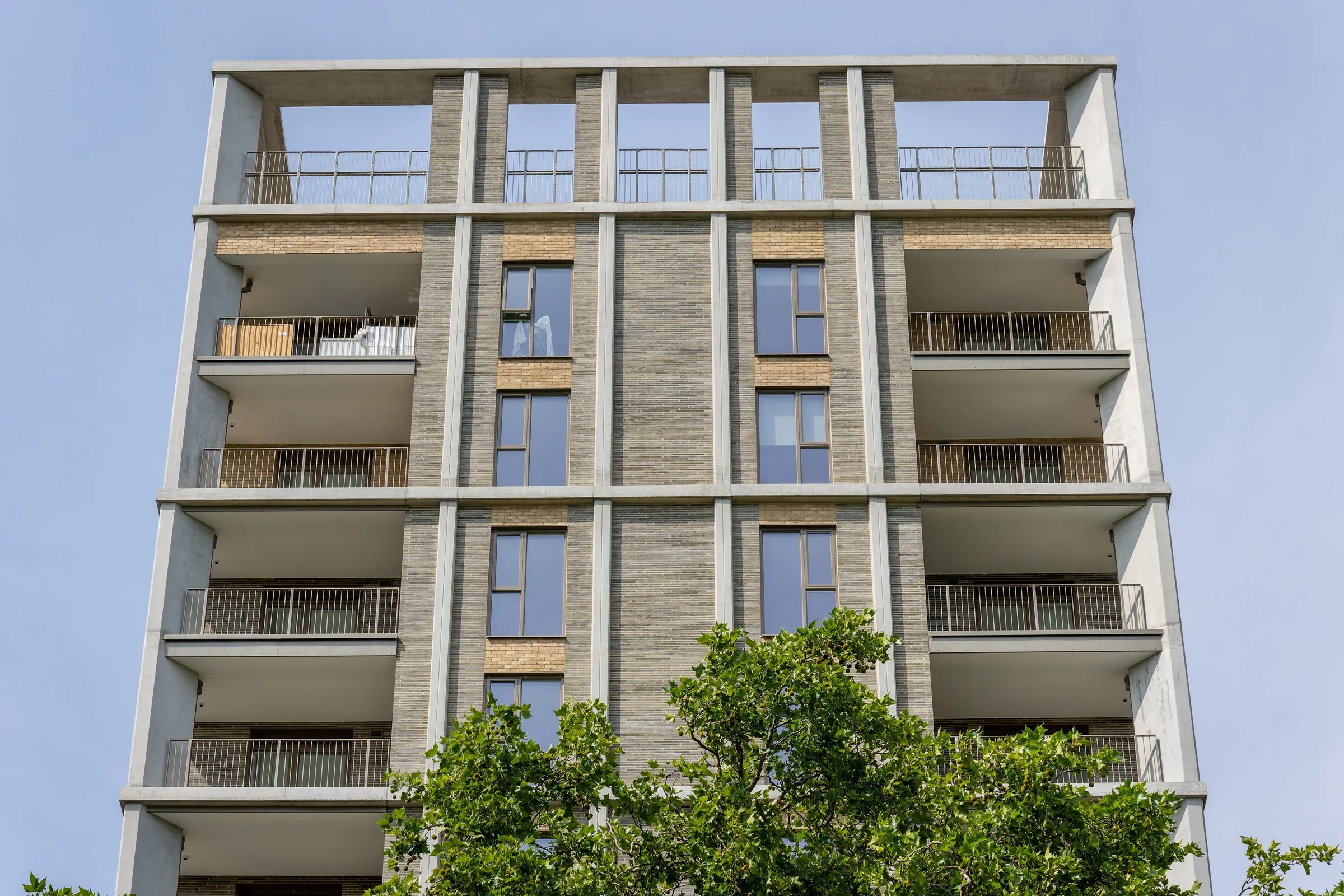 DSC06520-DxO_DeepPRIME XD2s.jpg