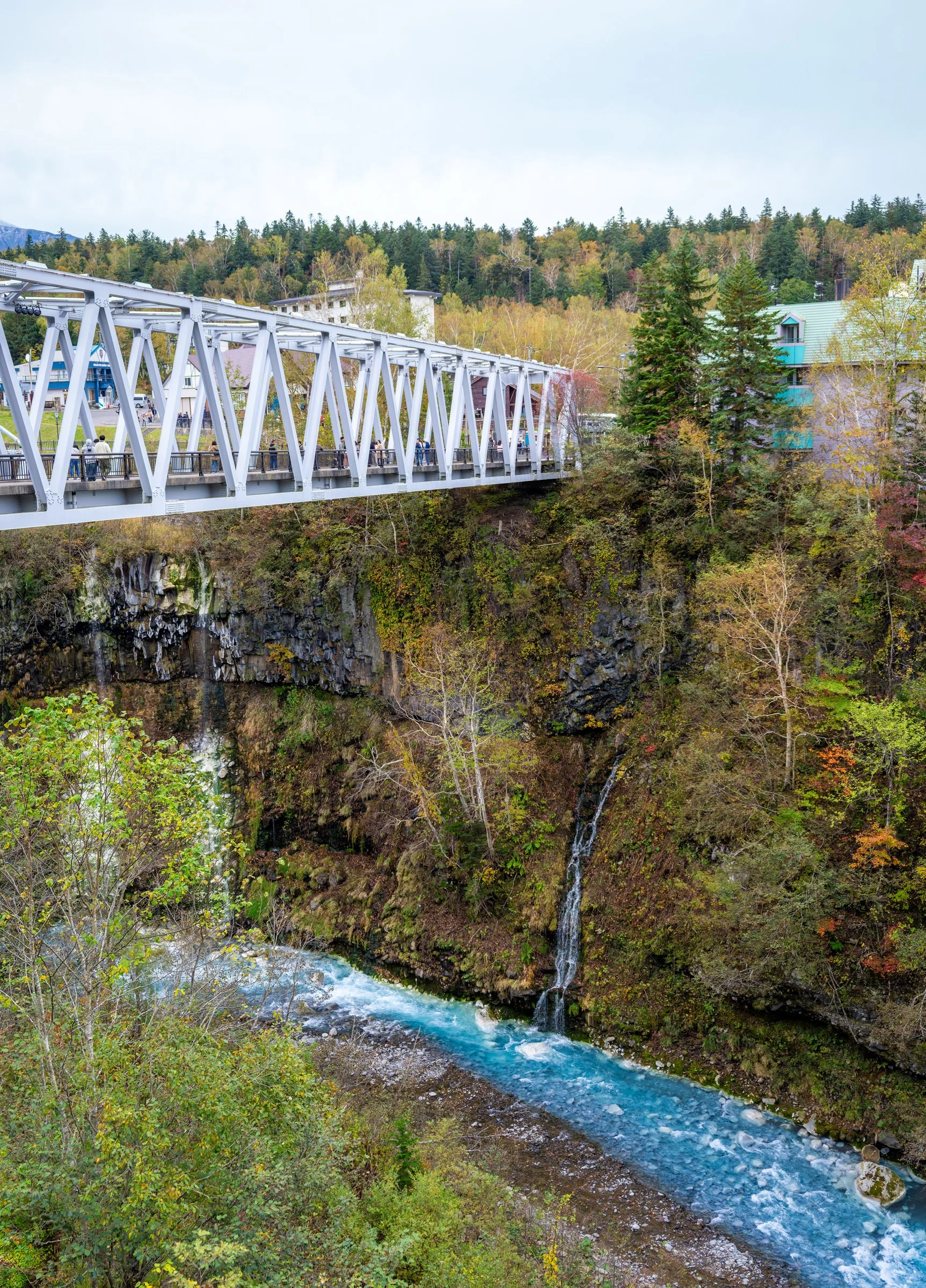 DSC06524-DxO_DeepPRIME 3.jpg