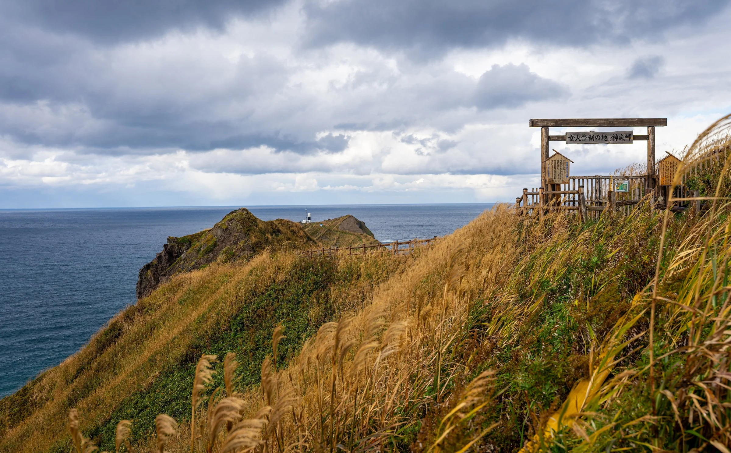 DSC07528-DxO_DeepPRIME 3-topaz-sharpen.jpg