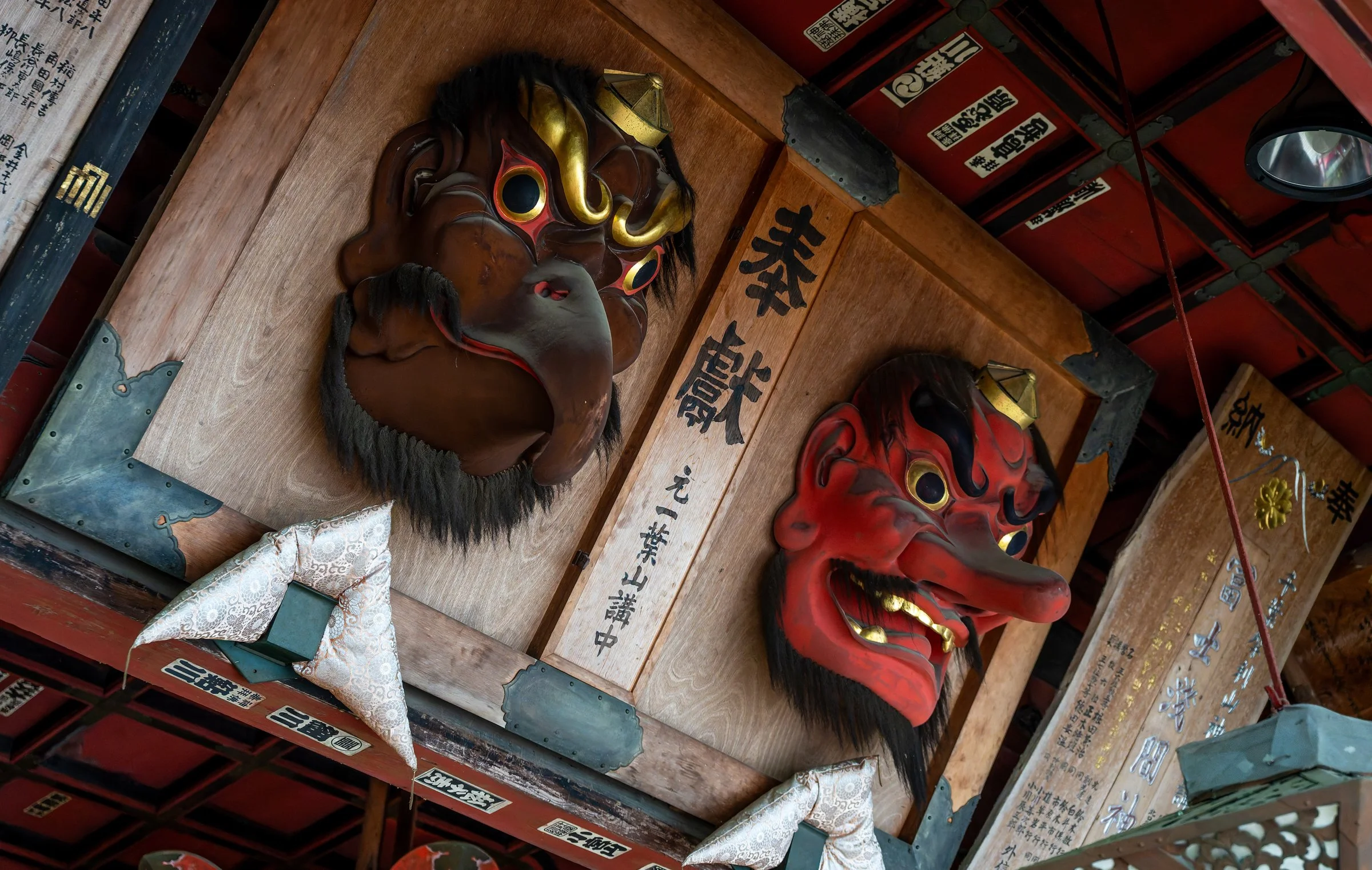 DSC00250-DxO_DeepPRIME 3.jpg