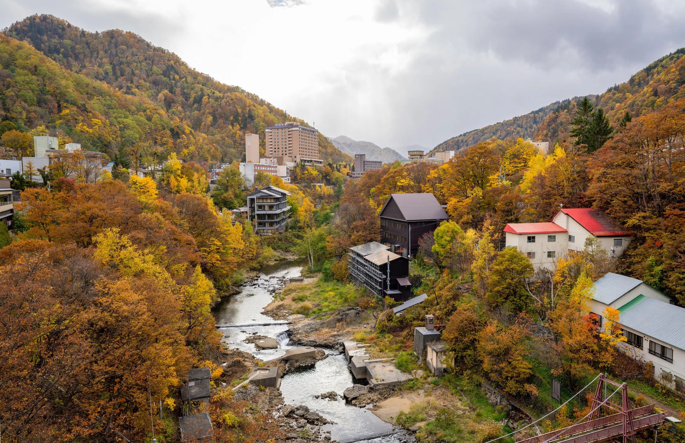 DSC07864-DxO_DeepPRIME 3.jpg