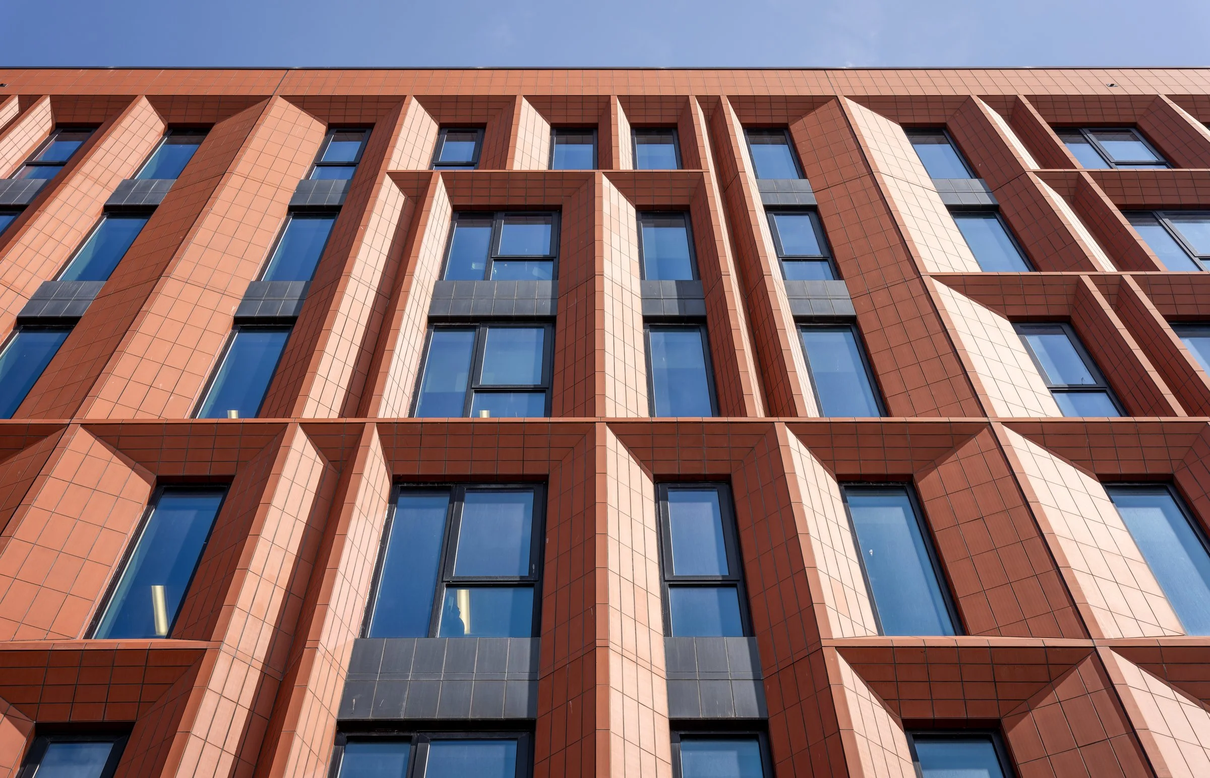 DSC06848-DxO_DeepPRIME XD2s.jpg