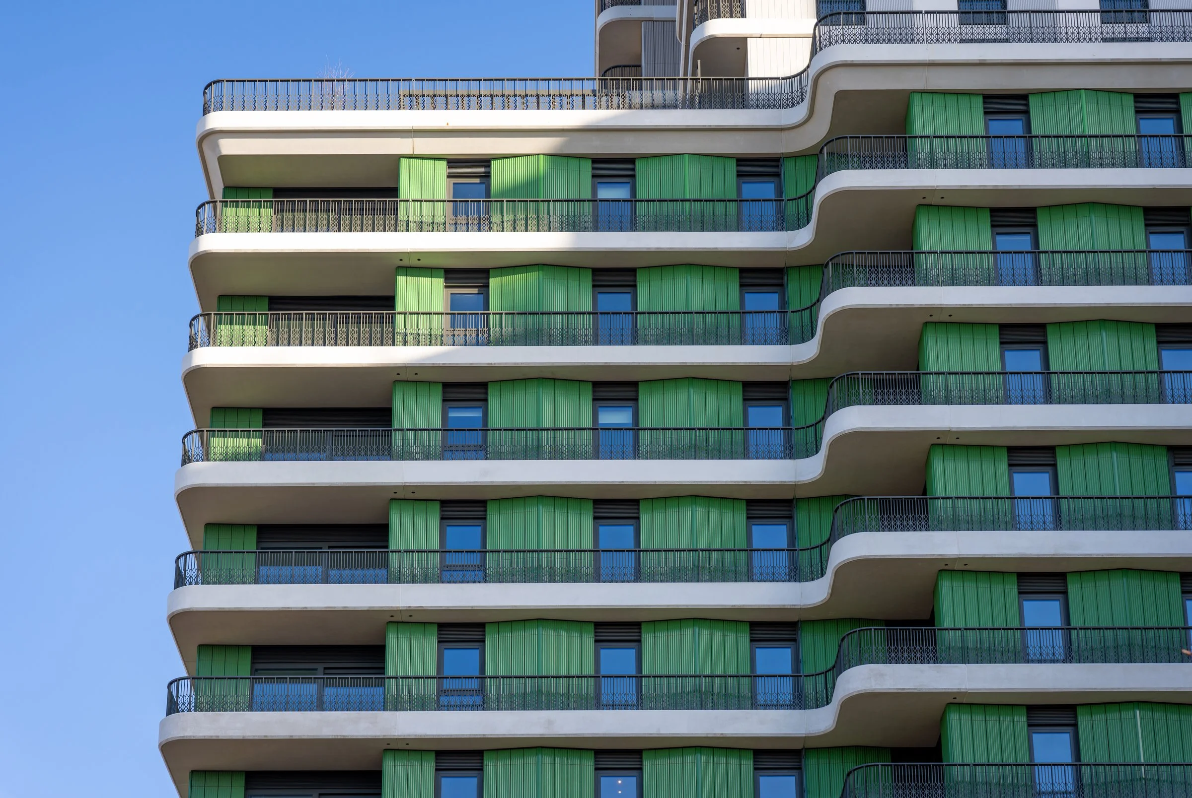 DSC03181-DxO_DeepPRIME XD2s.jpg