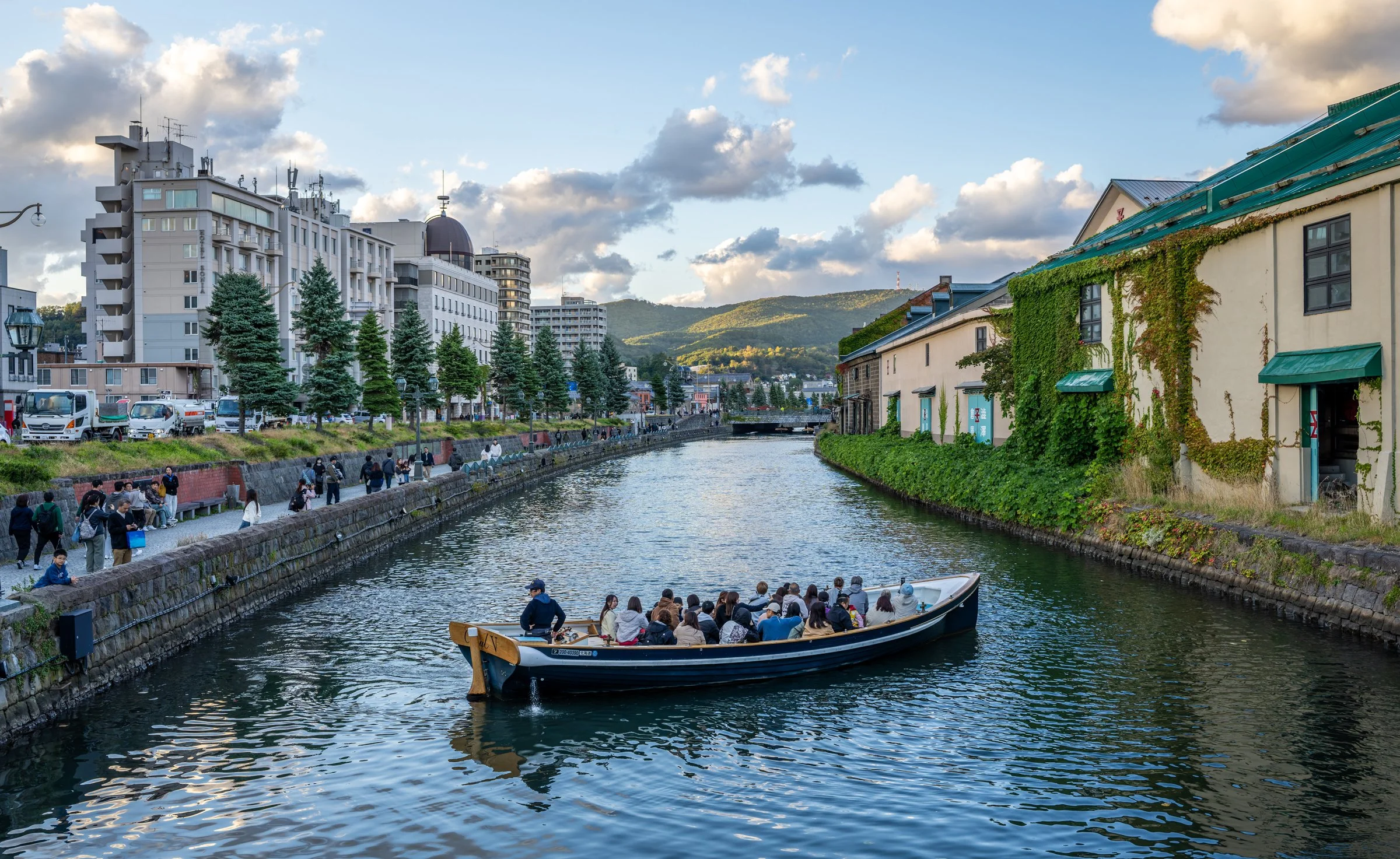 DSC05899-DxO_DeepPRIME 3.jpg