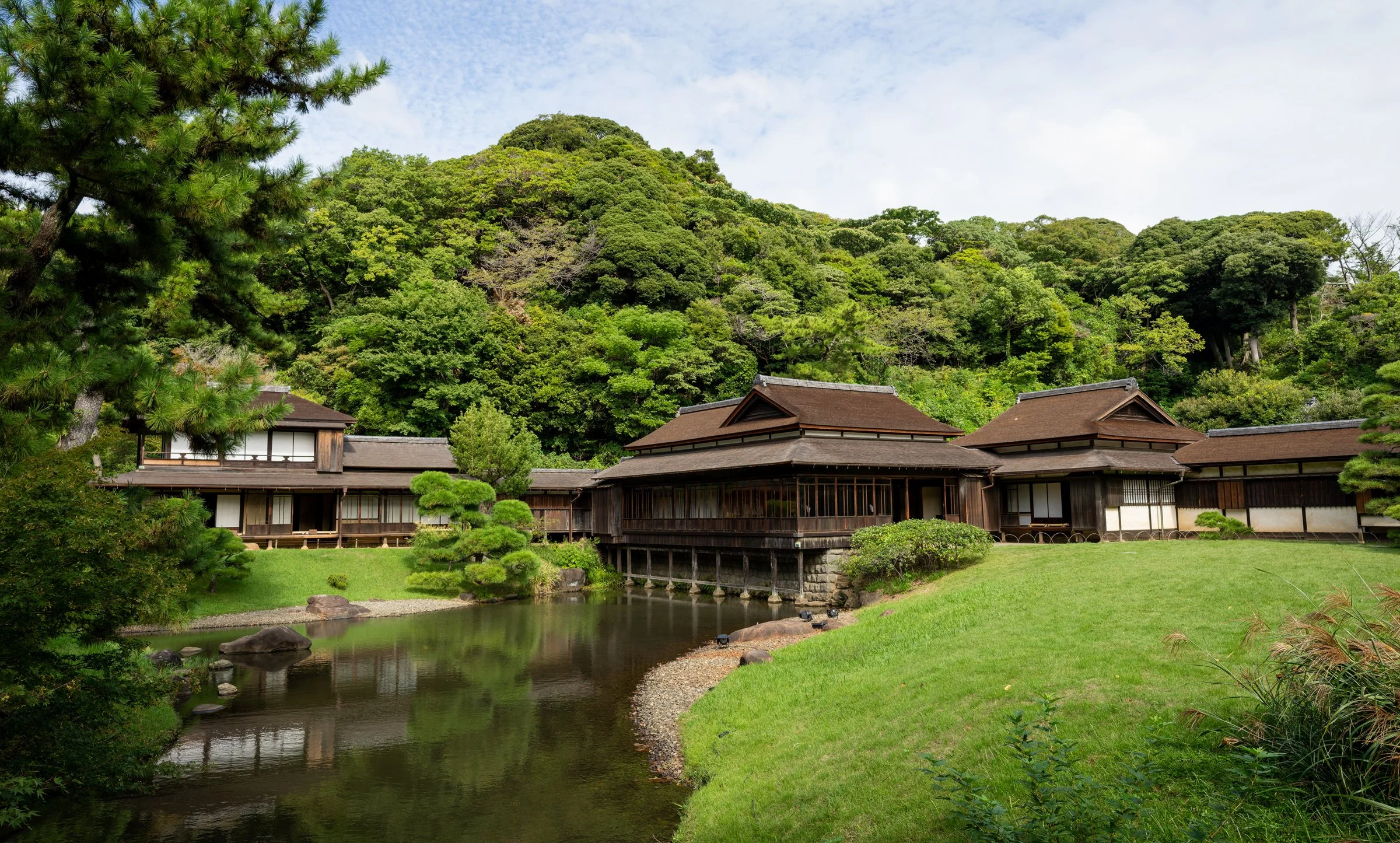 DSC00284-DxO_DeepPRIME 3.jpg