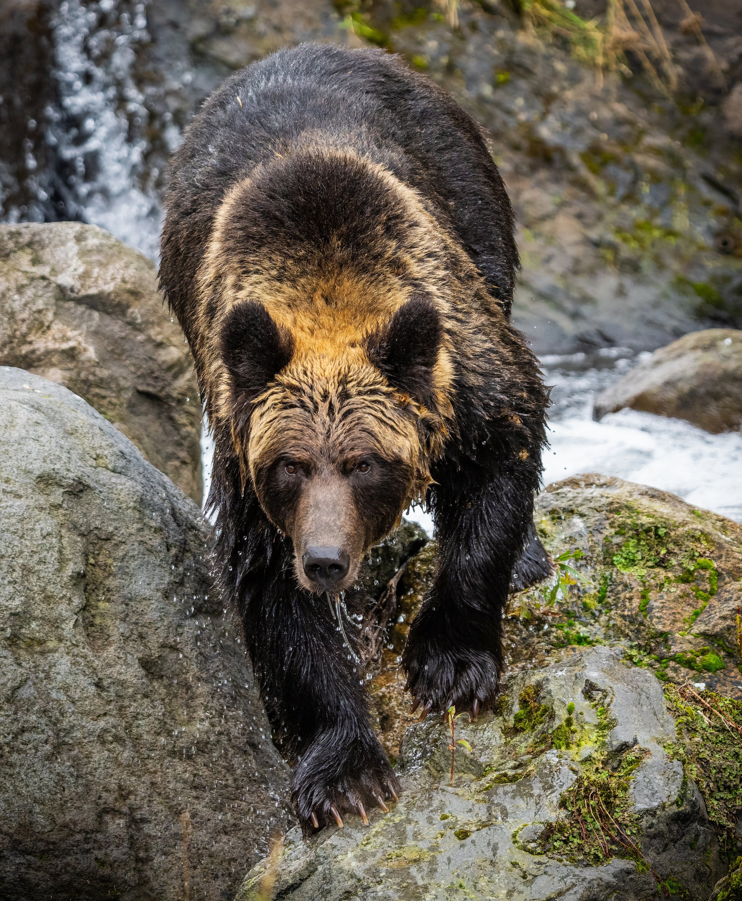 DSC03609-DxO_DeepPRIME 3-topaz-sharpen.jpg