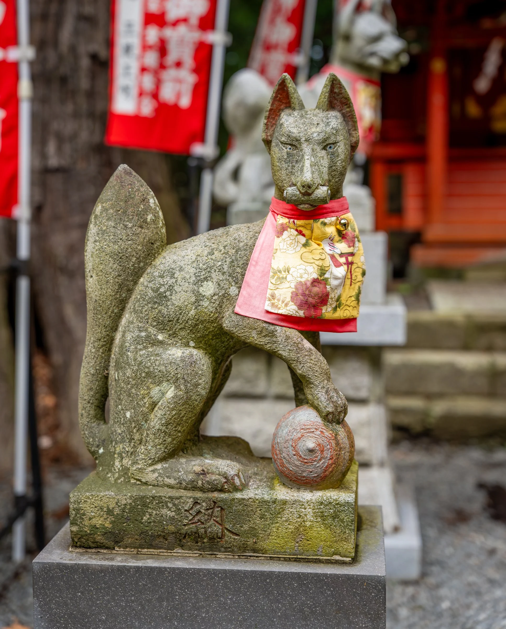 DSC00397-DxO_DeepPRIME 3.jpg