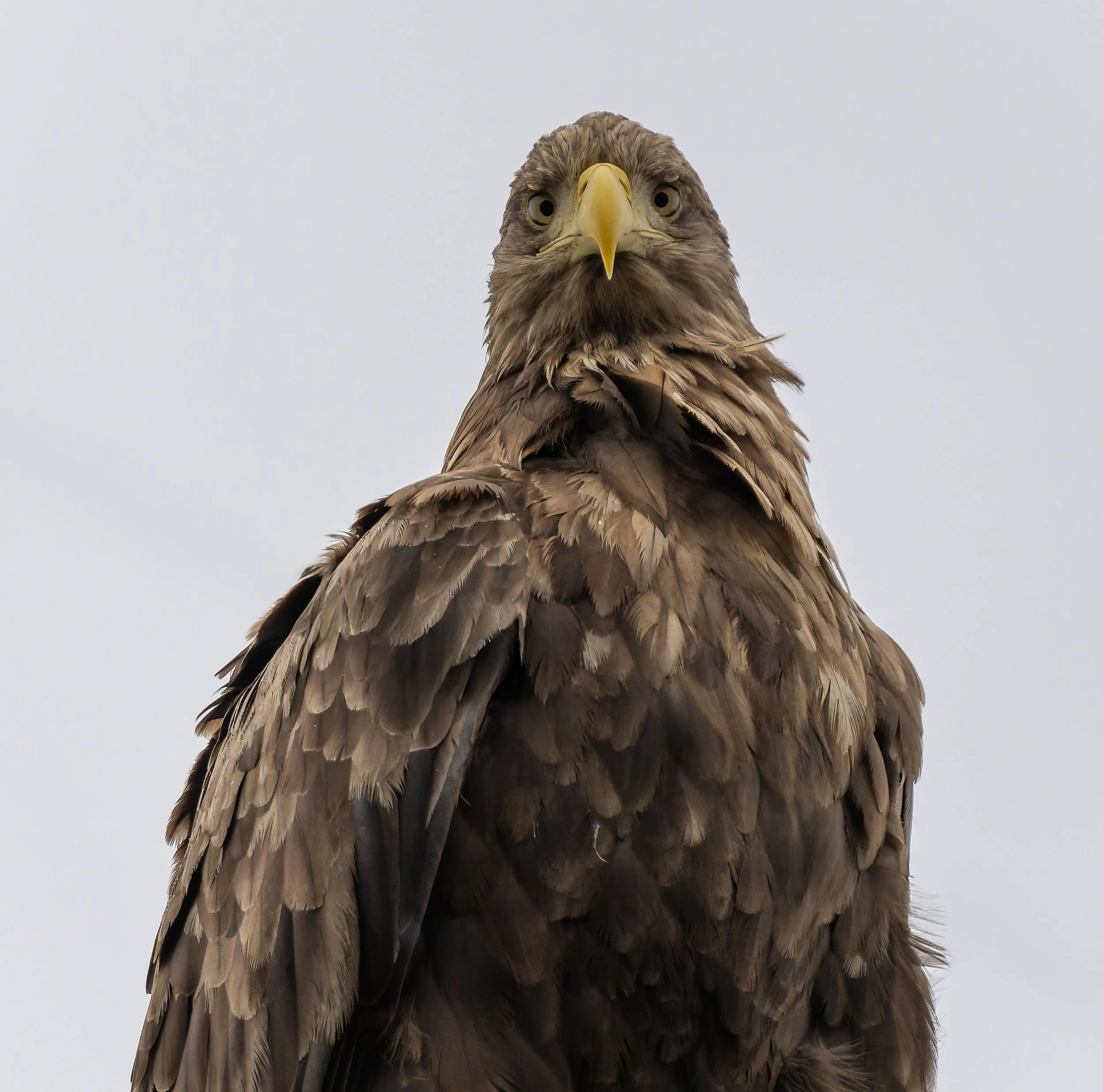 DSC05981-DxO_DeepPRIME 3-topaz-sharpen.jpg