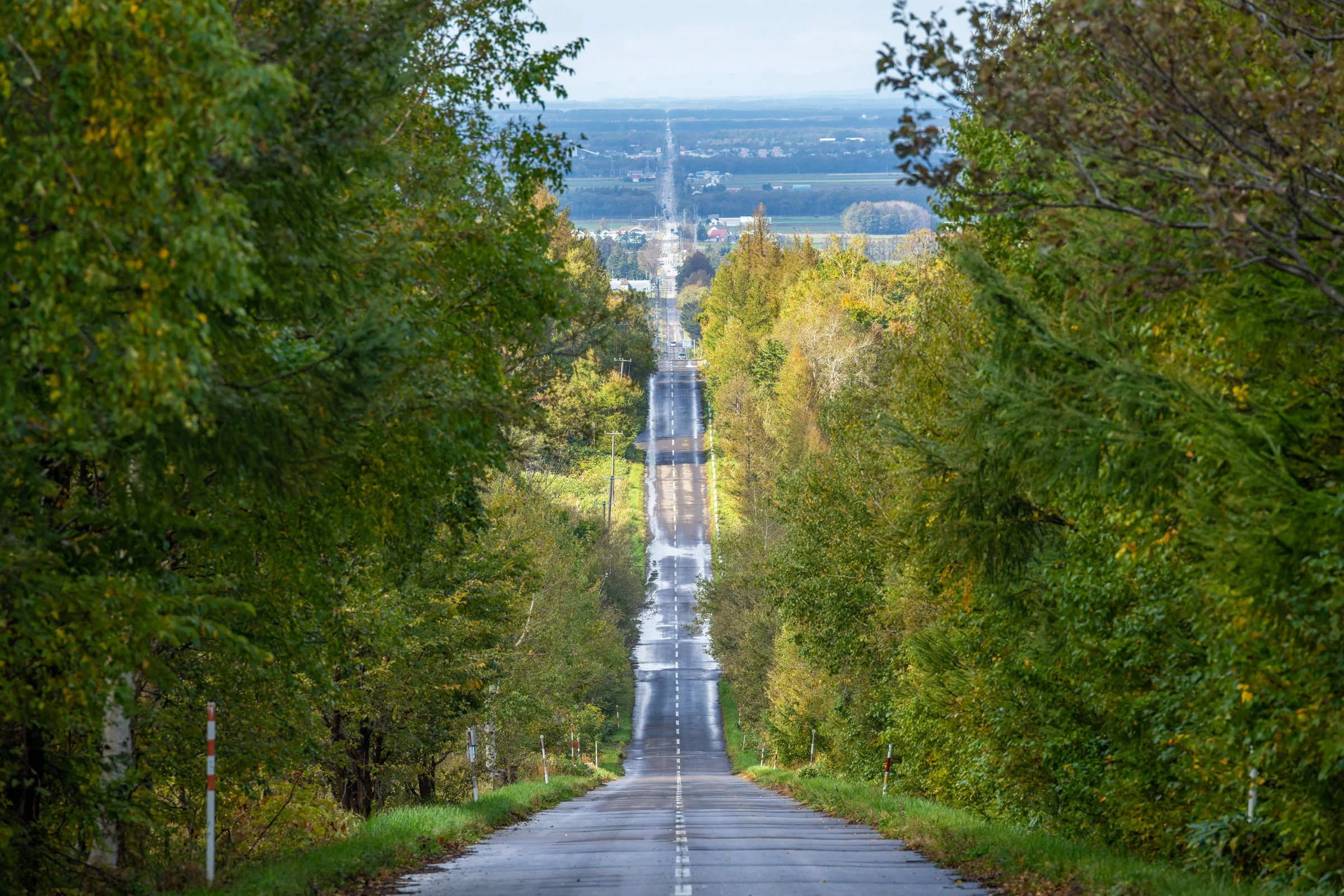 DSC00772-DxO_DeepPRIME 3.jpg