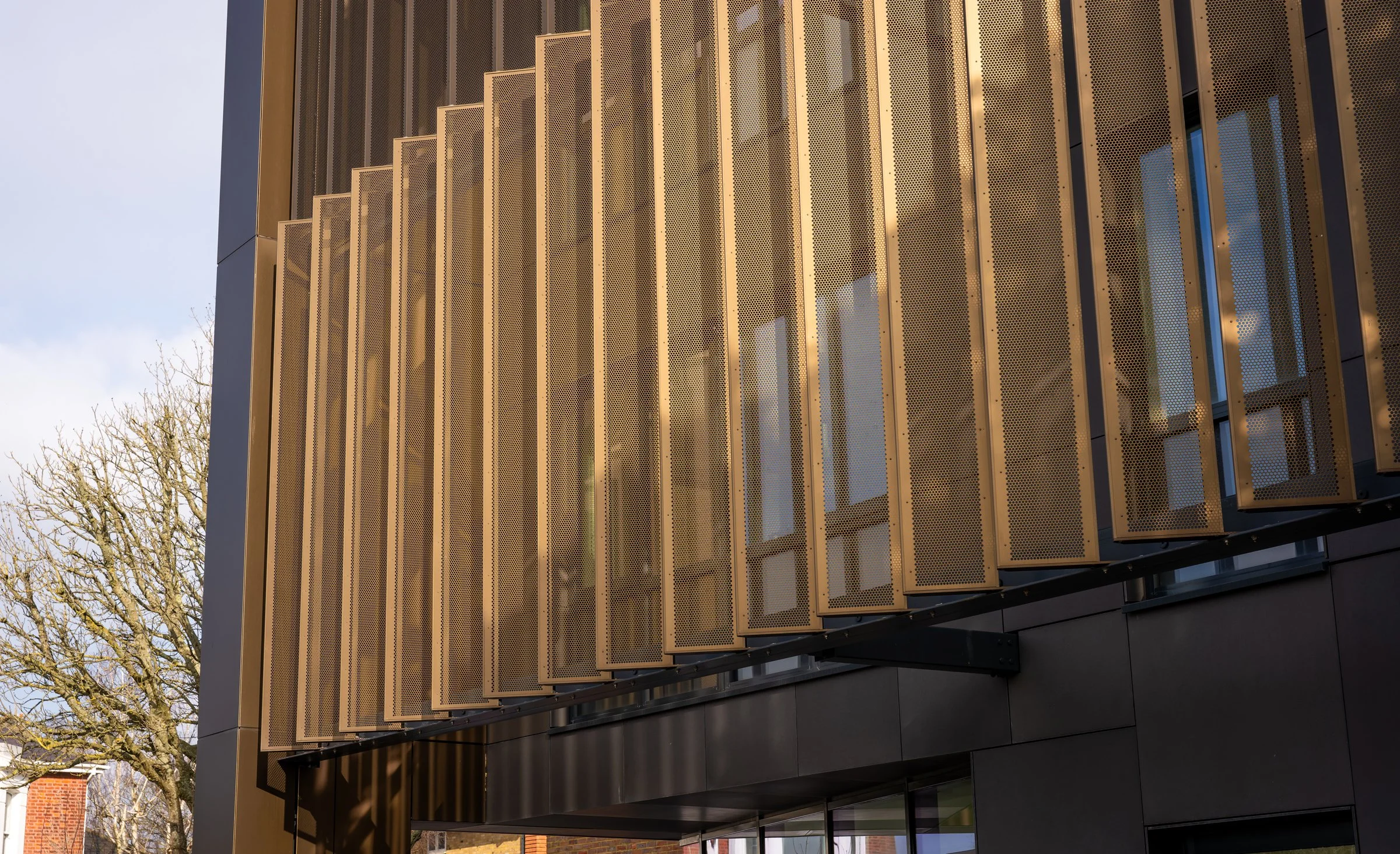 DSC02447-DxO_DeepPRIME XD2s.jpg