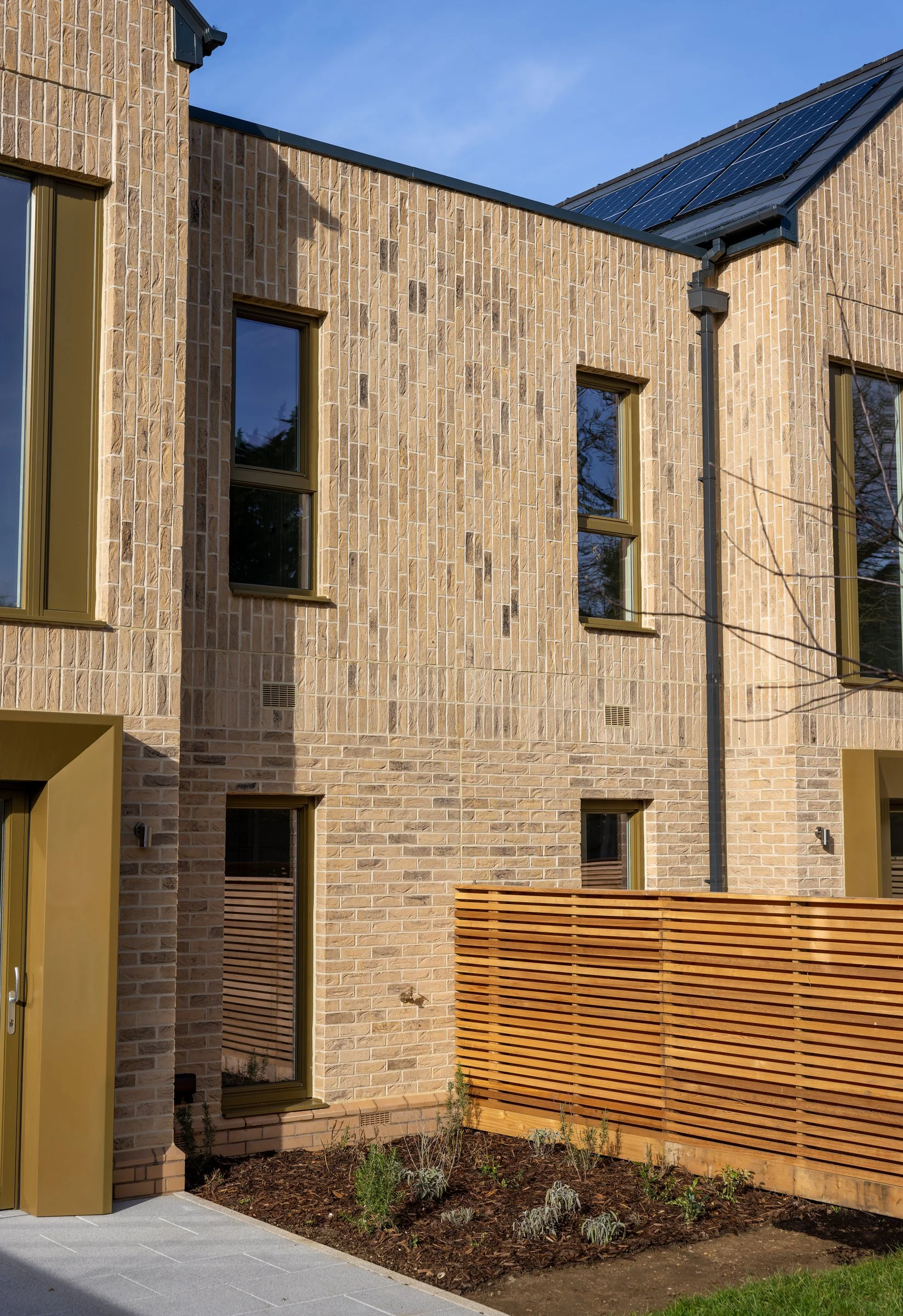 DSC01871-DxO_DeepPRIME XD2s.jpg