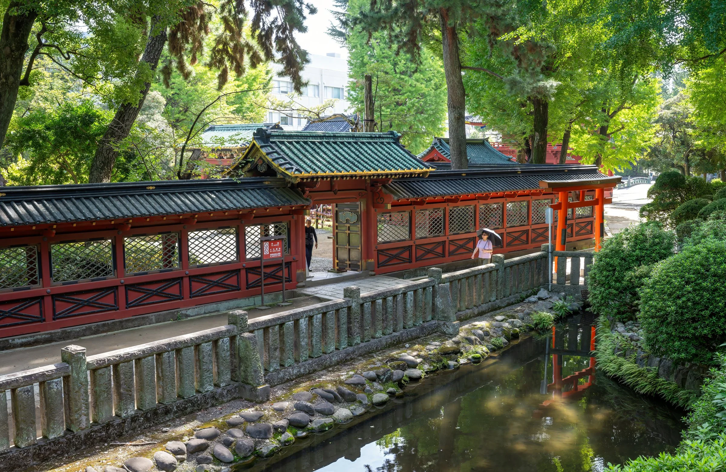 DSC02224-DxO_DeepPRIME 3-topaz-denoise-sharpen.jpg