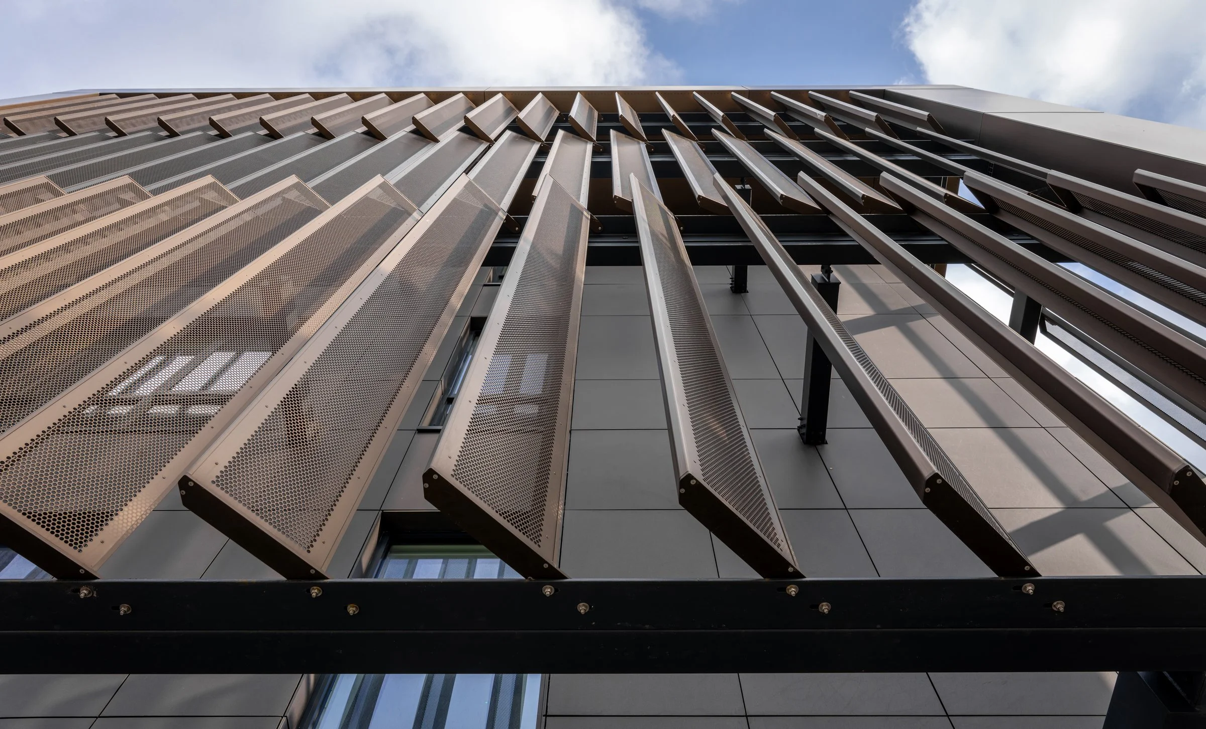 DSC02436-DxO_DeepPRIME XD2s.jpg