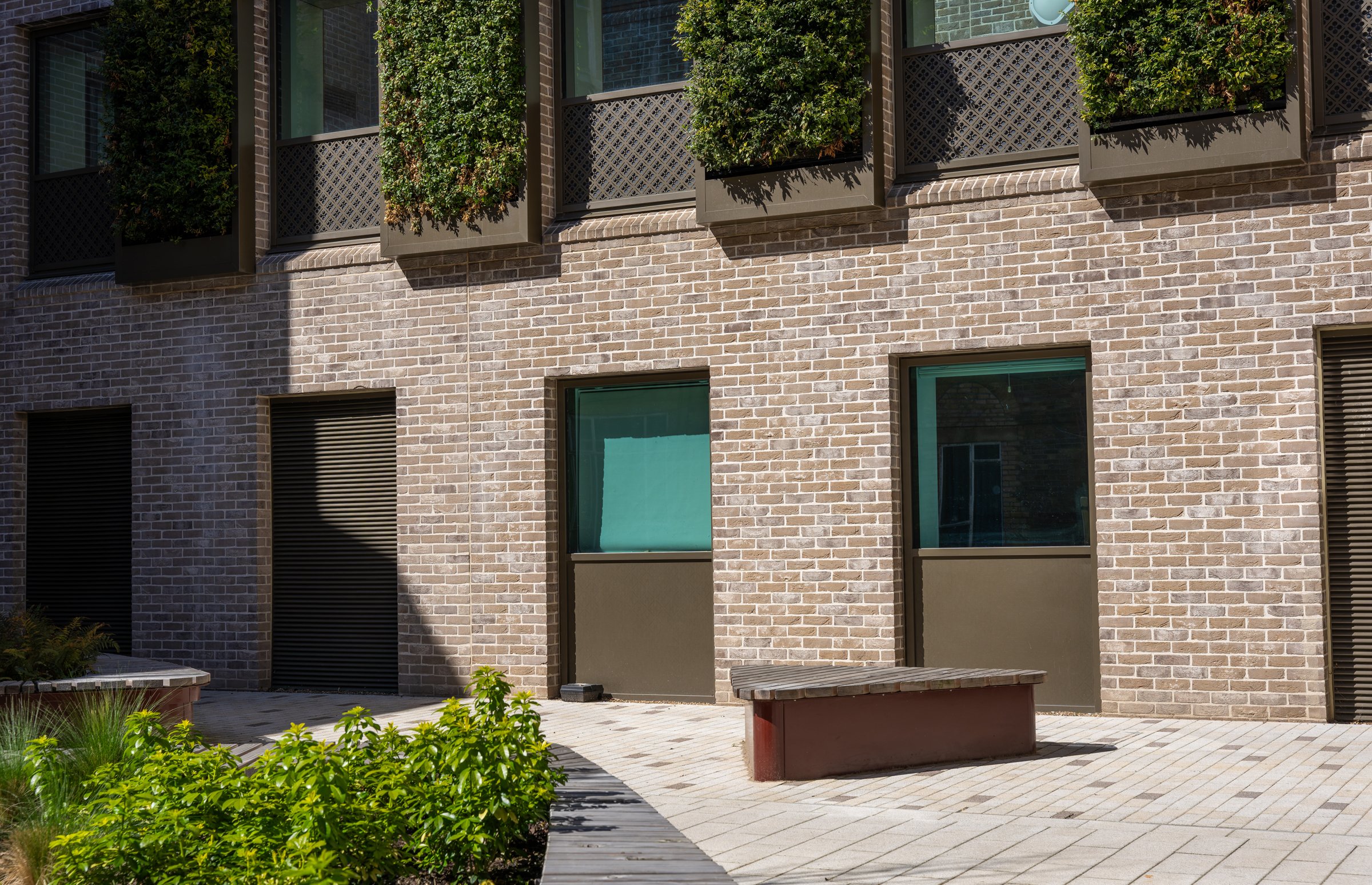 DSC05366-DxO_DeepPRIME XD2s.jpg